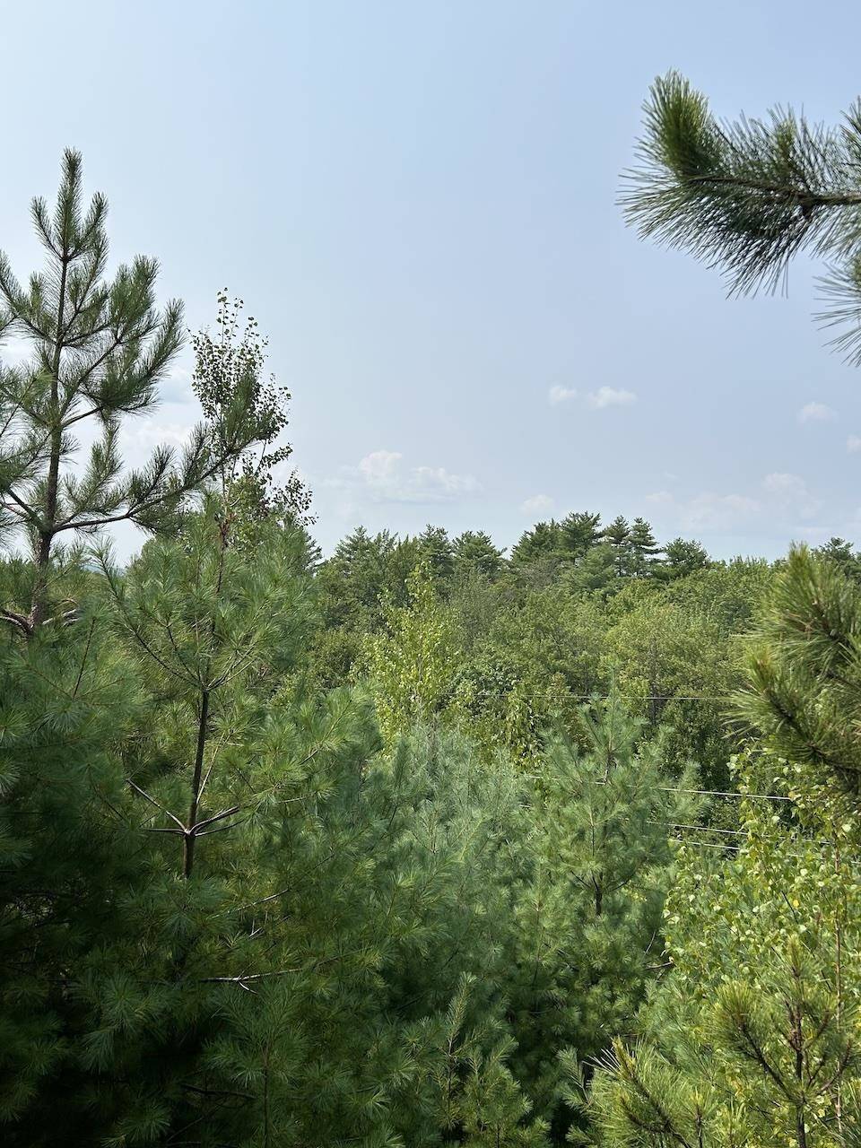 Belmont, NH 03220,36 Grimstone DR