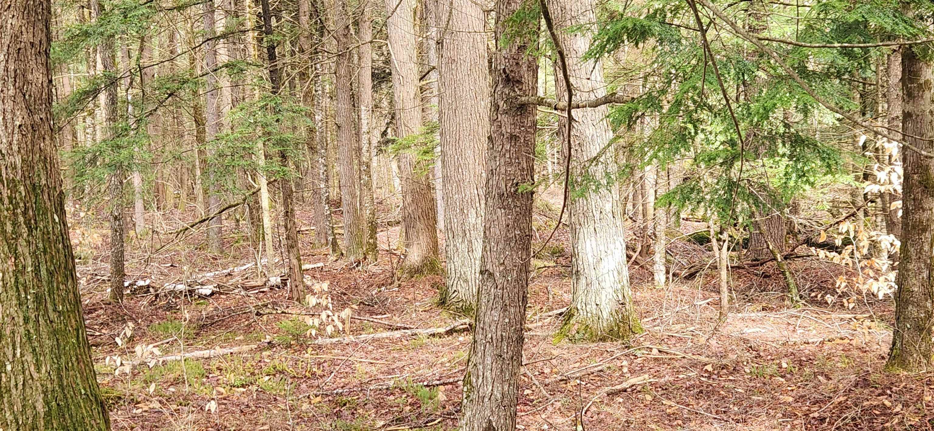 Sullivan, NH 03445,0 Connor DR