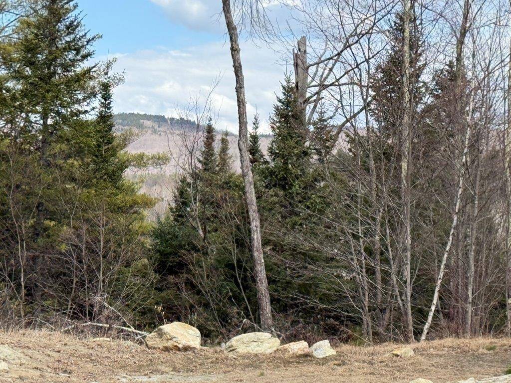 Canaan, NH 03741,390 NH Route 118