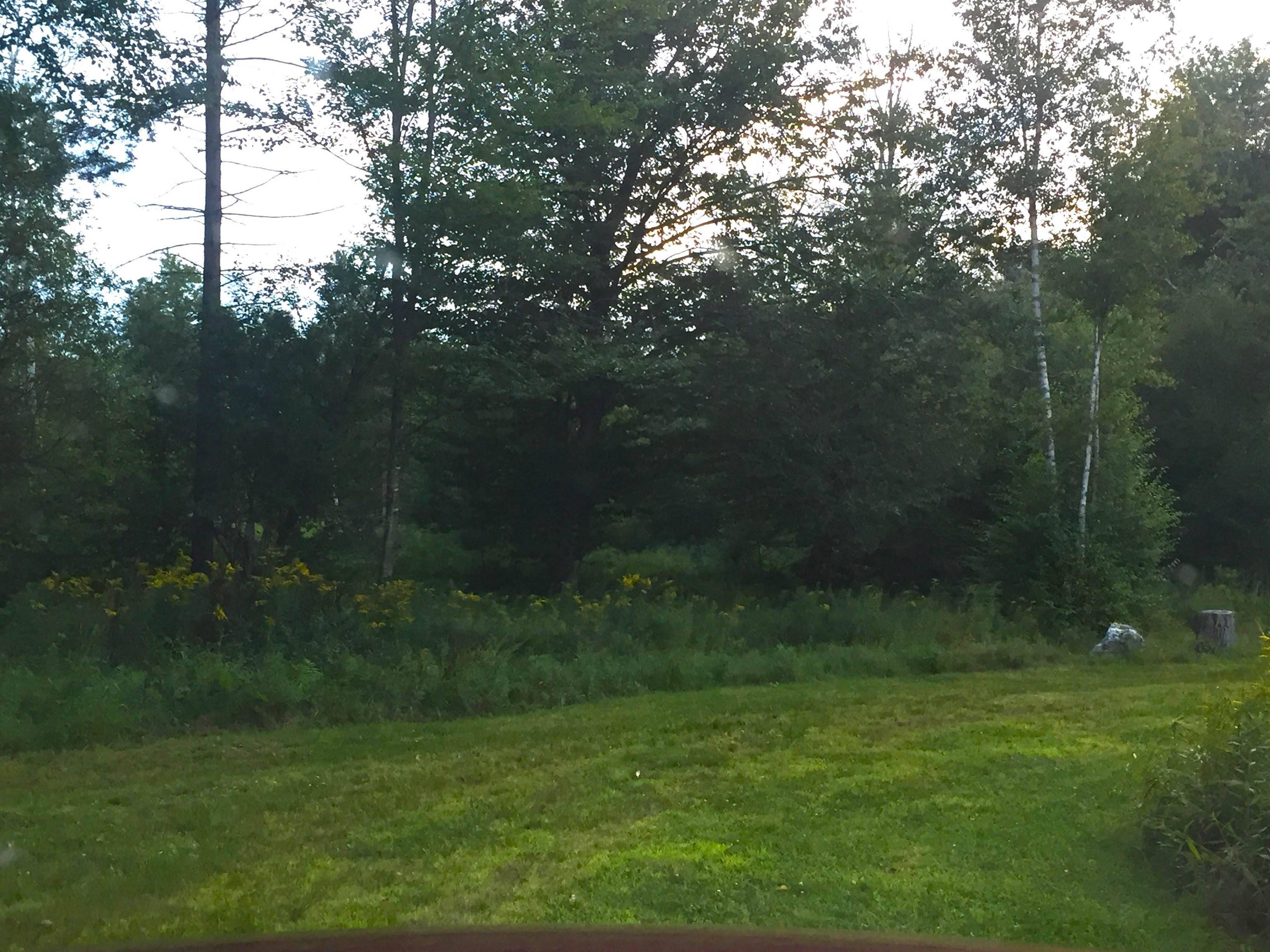 Sandgate, VT 05250,2793 Rupert RD
