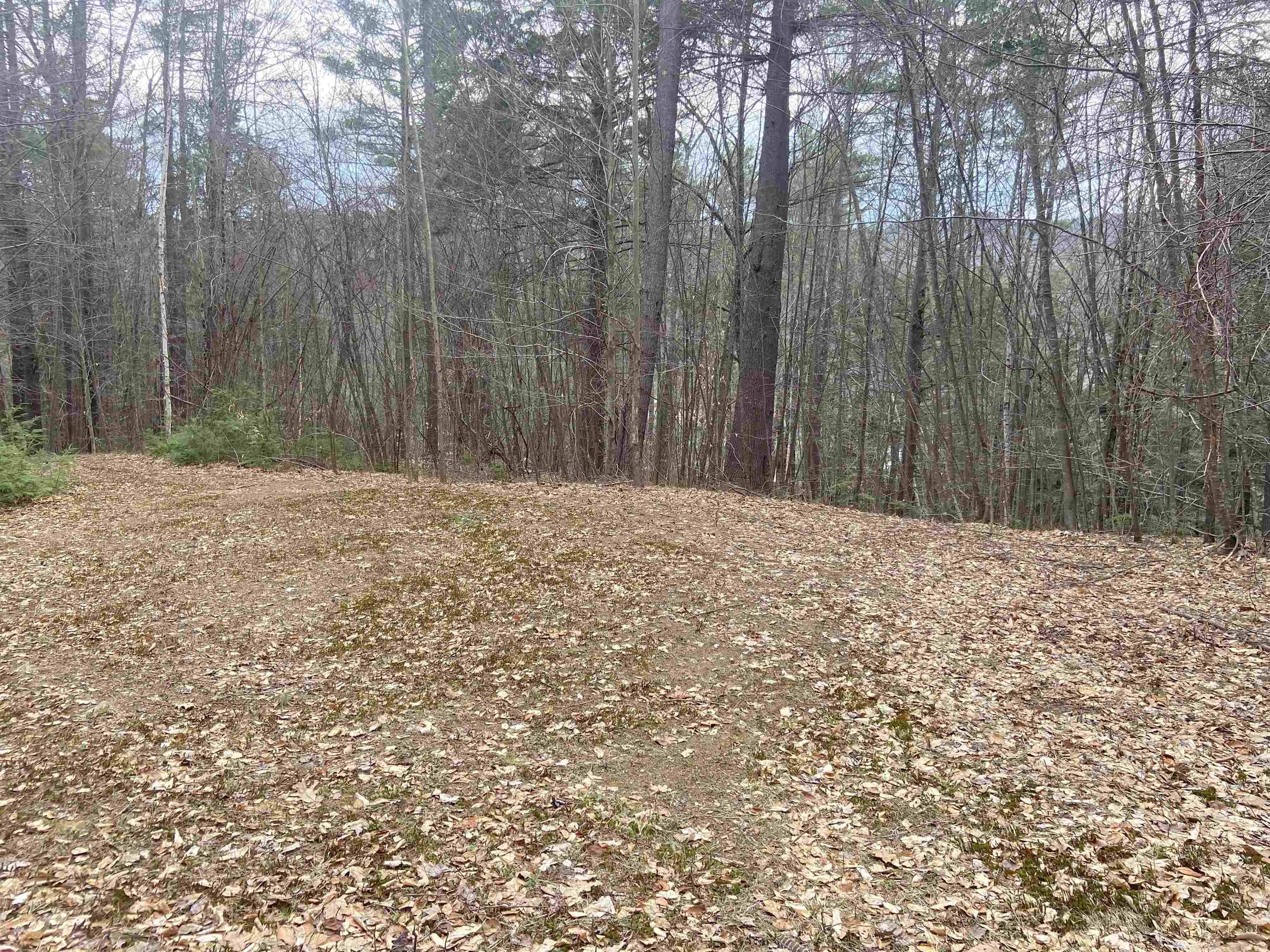 Townshend, VT 05353,1 Berrie LN