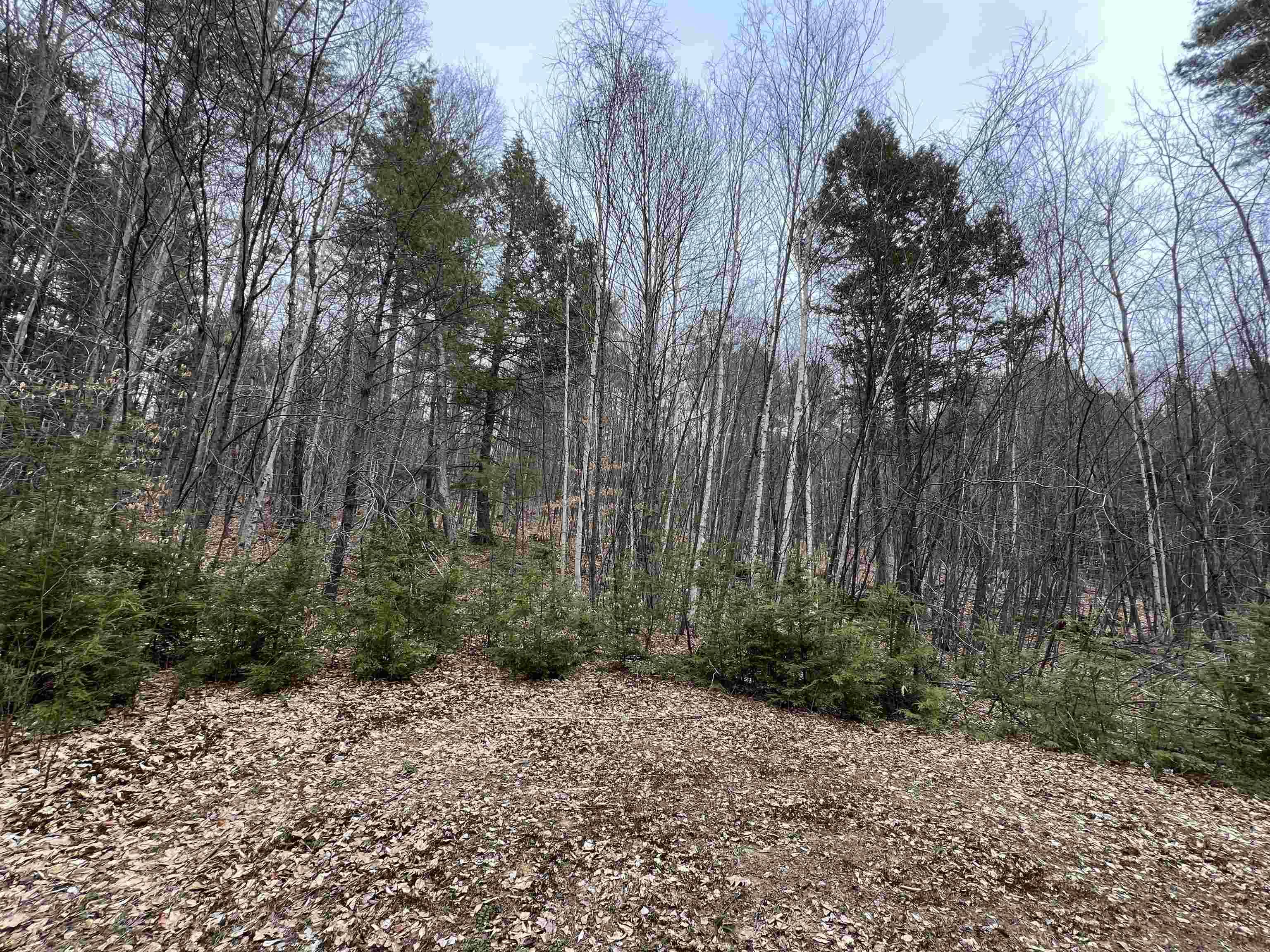 Townshend, VT 05353,1 Berrie LN
