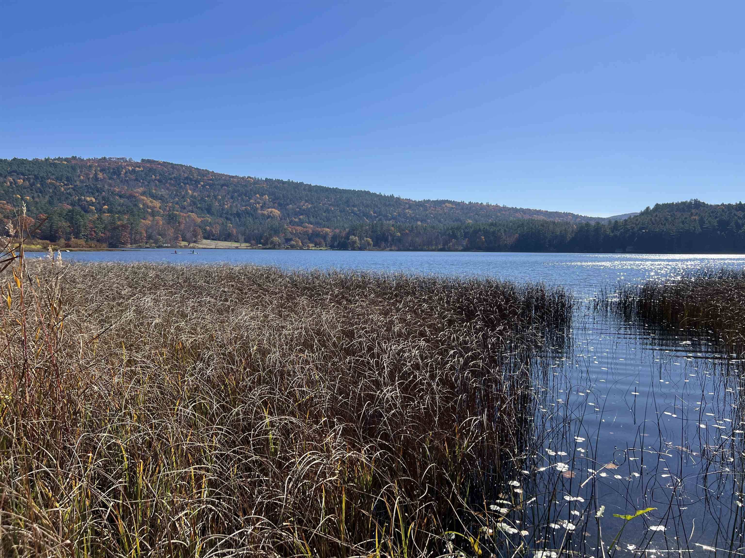 Lyme, NH 03768,31 Post Pond LN