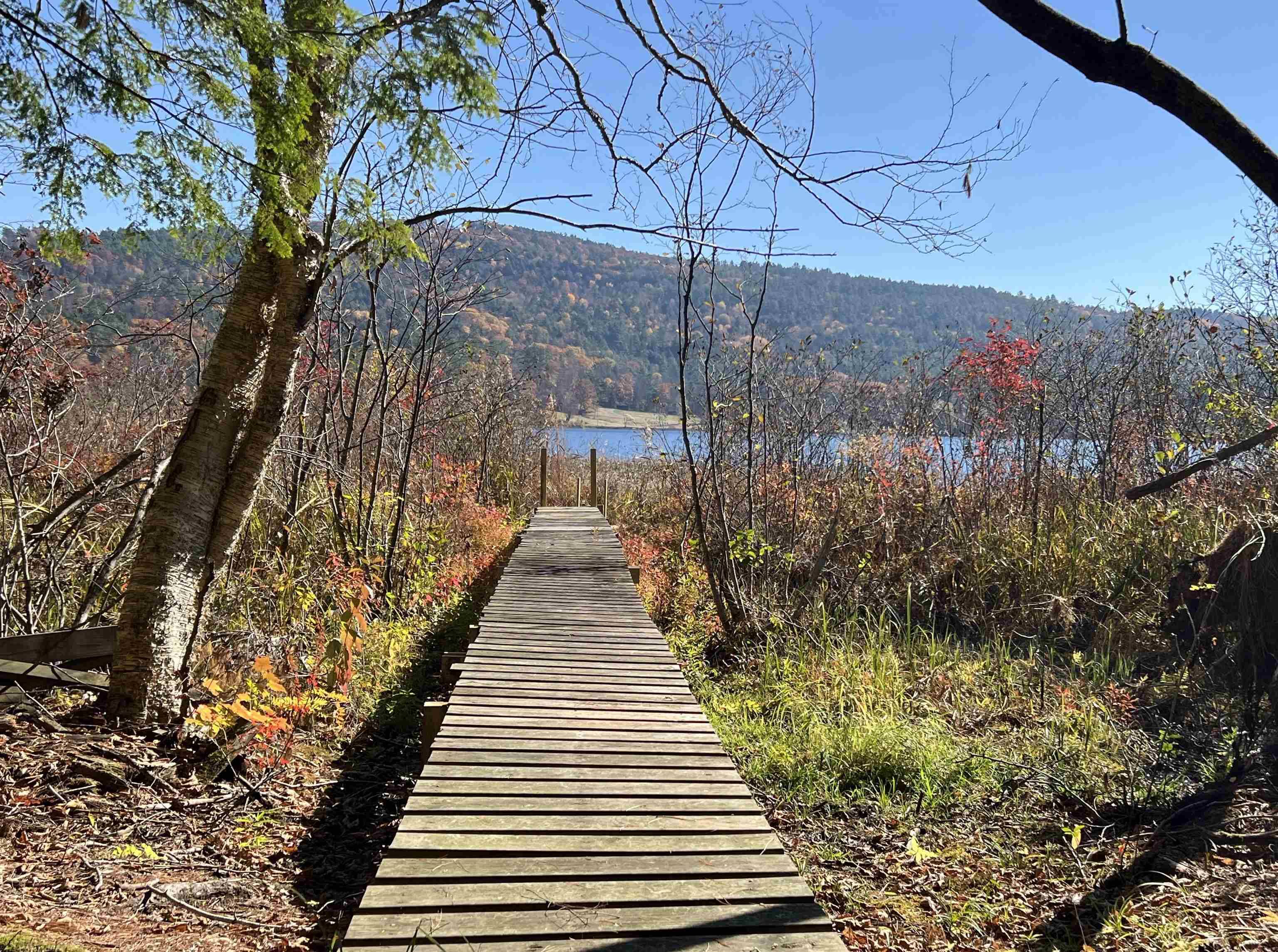 Lyme, NH 03768,31 Post Pond LN