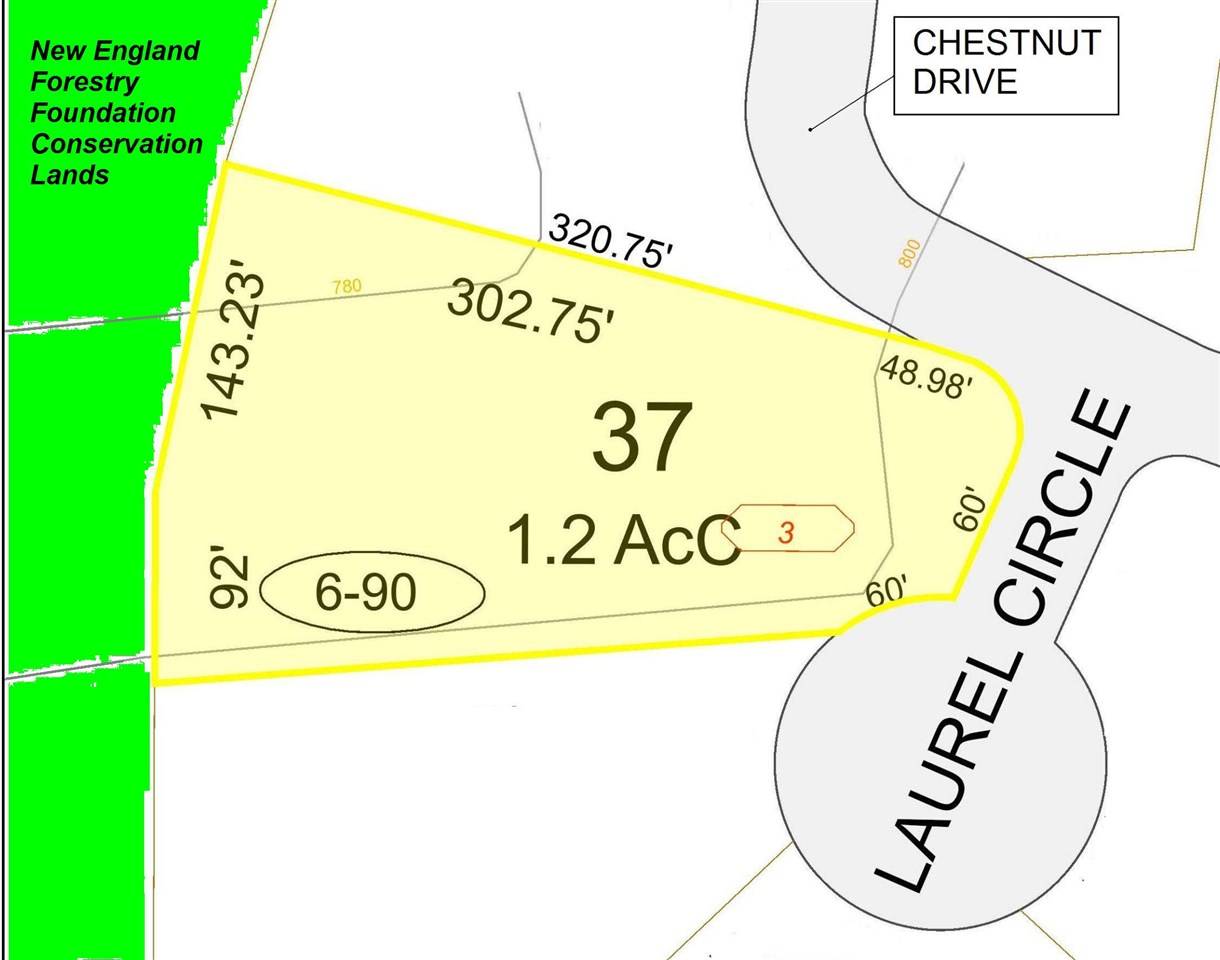 Gilford, NH 03249,3 Laurel CIR