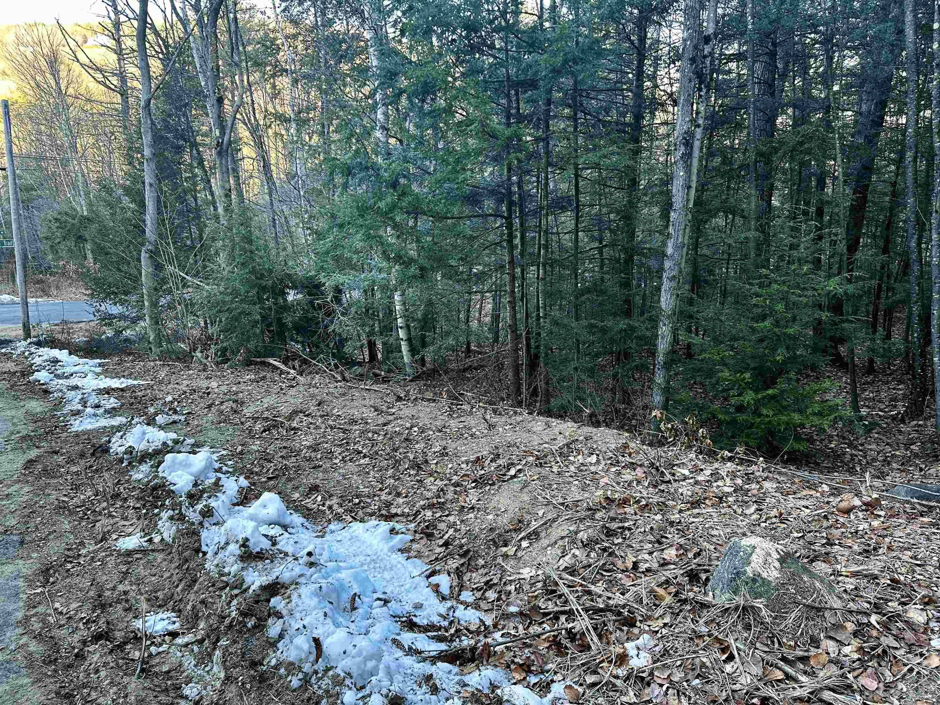 4 Cheshire CIR Gilford, NH 03249