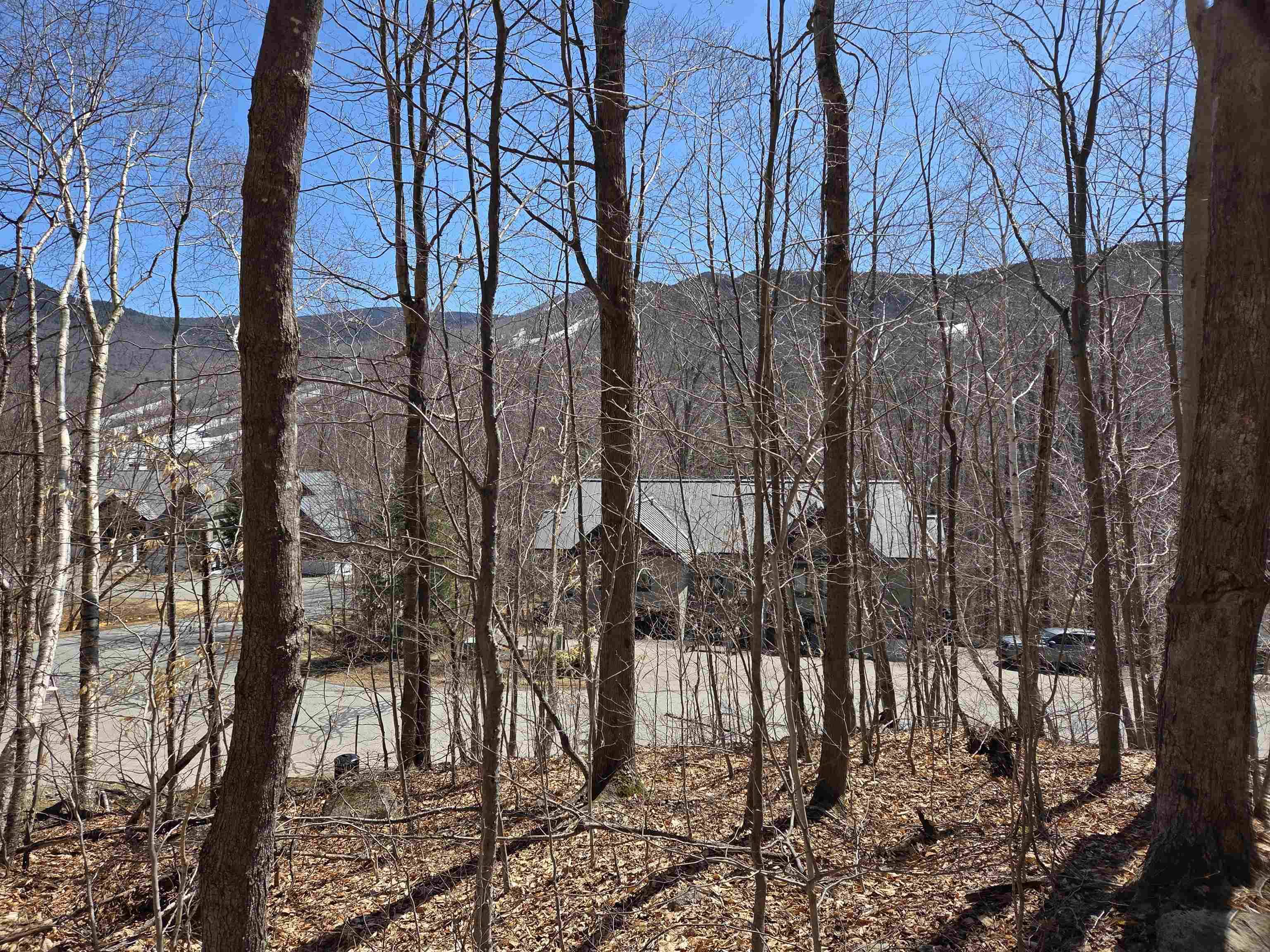 Lincoln, NH 03251,58 Westview RD
