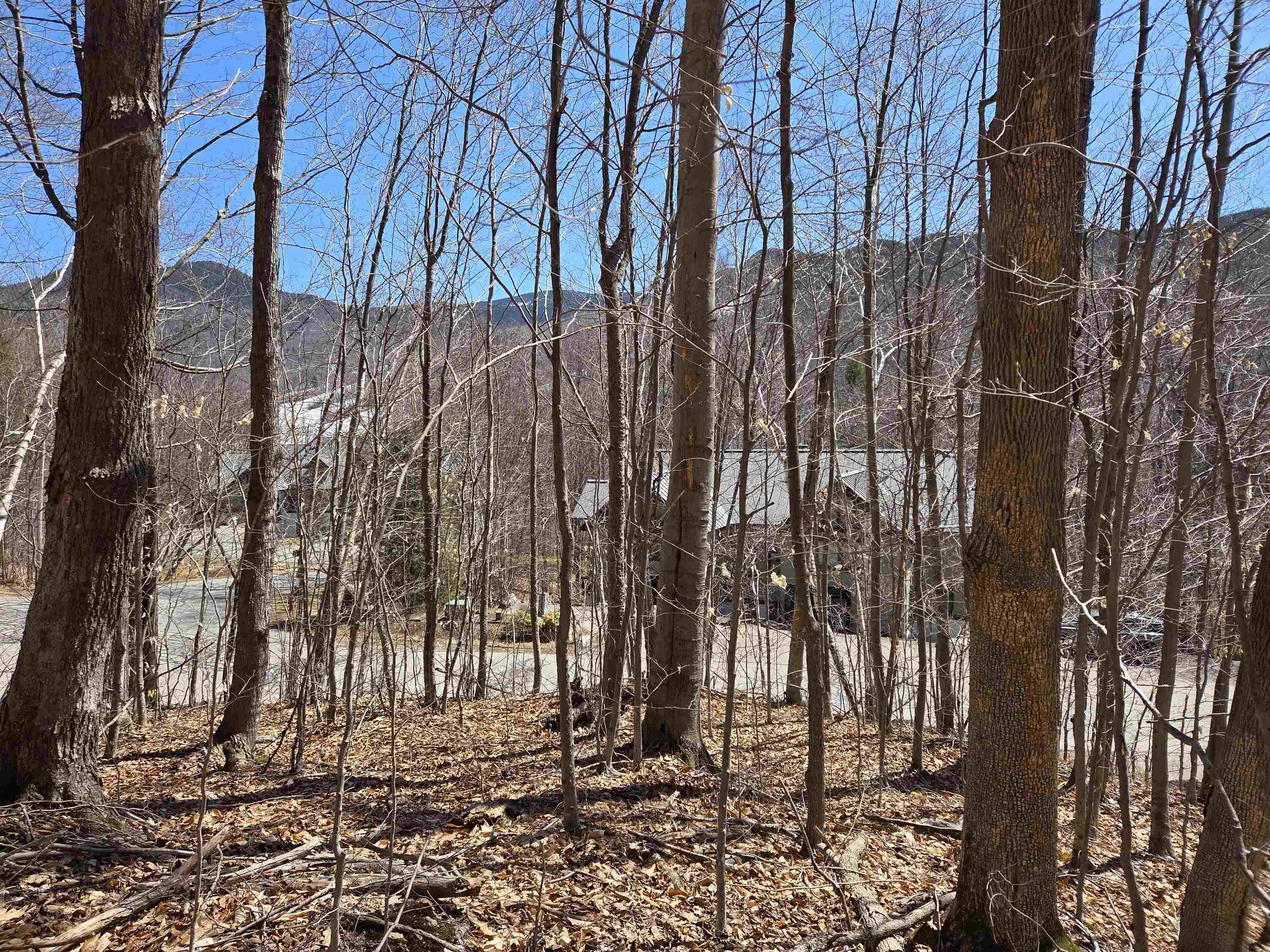 Lincoln, NH 03251,58 Westview RD