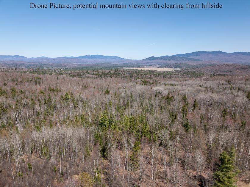 Guildhall, VT 05905,Lot 12 & 13 Fellows RD