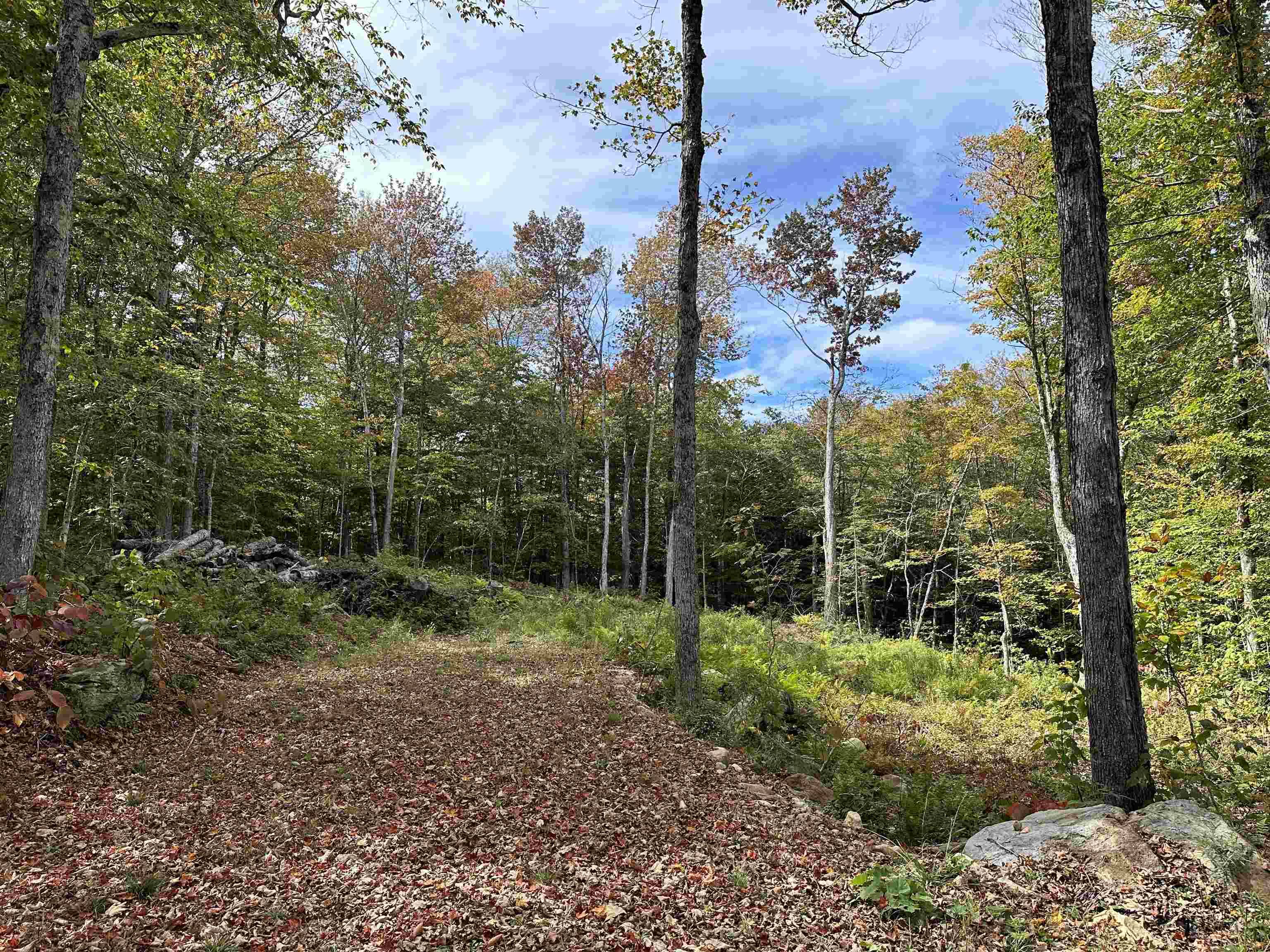 Readsboro, VT 05350,159 Oberdorf RD