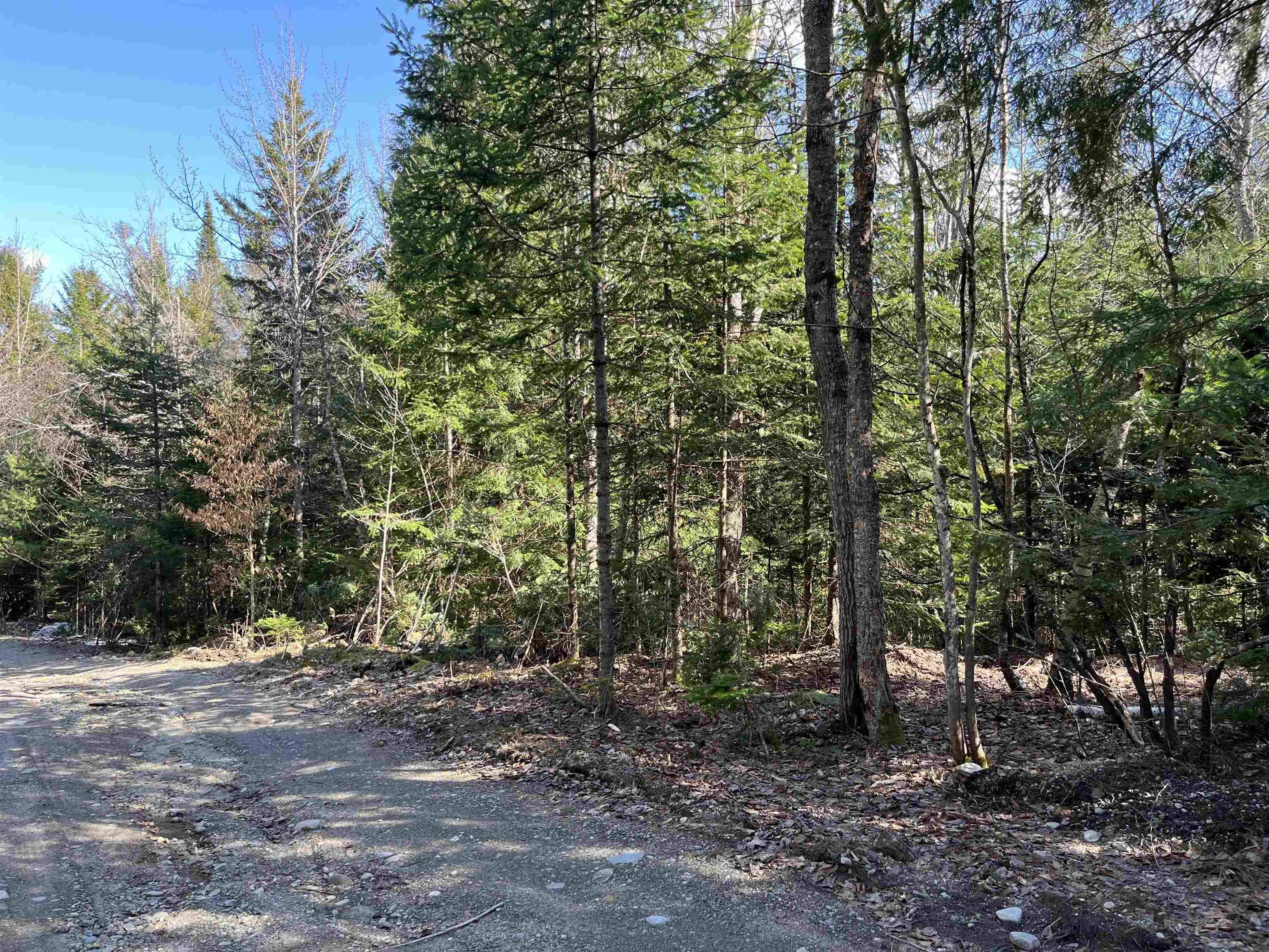 Westfield, VT 05874,00 Sniderbrook RD