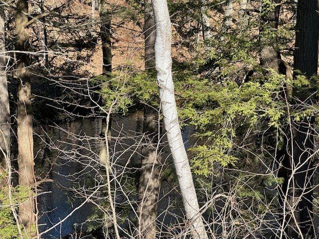 Epping, NH 03042,32 Ladds LN #4