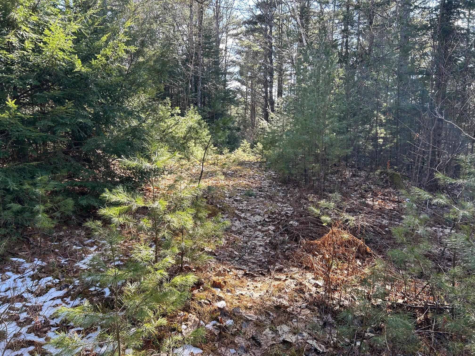 Haverhill, NH 03785,Swiftwater CIR #177