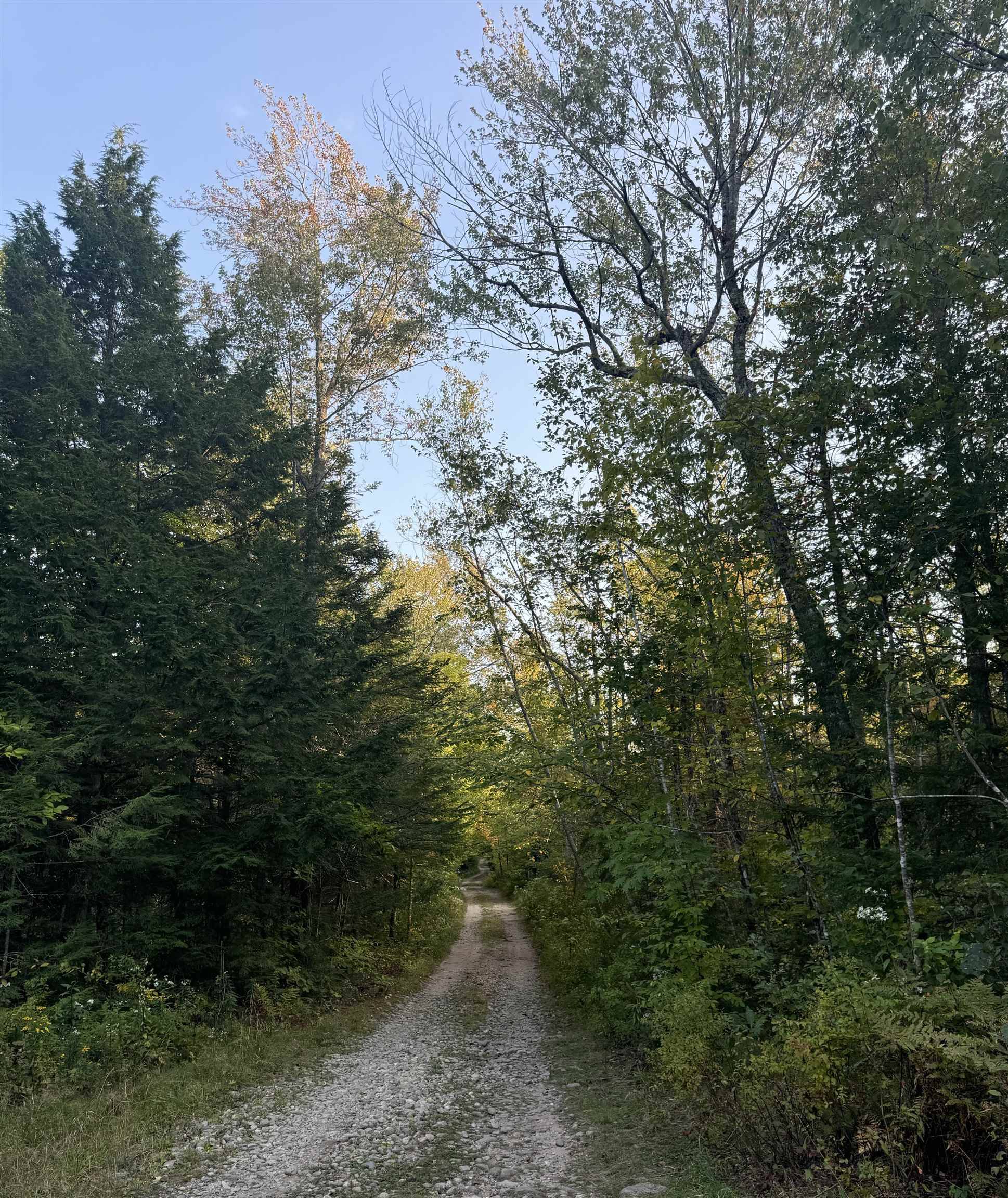 Middleton, NH 03887,6 Horn Brook RD
