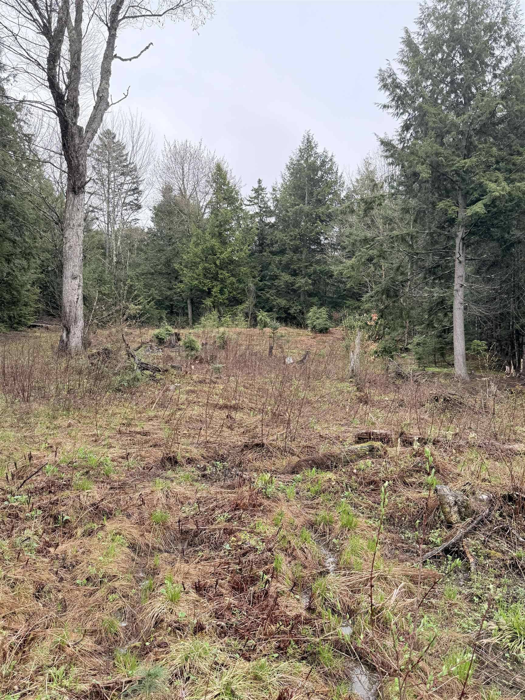 Wolcott, VT 05680,0 Jones LN