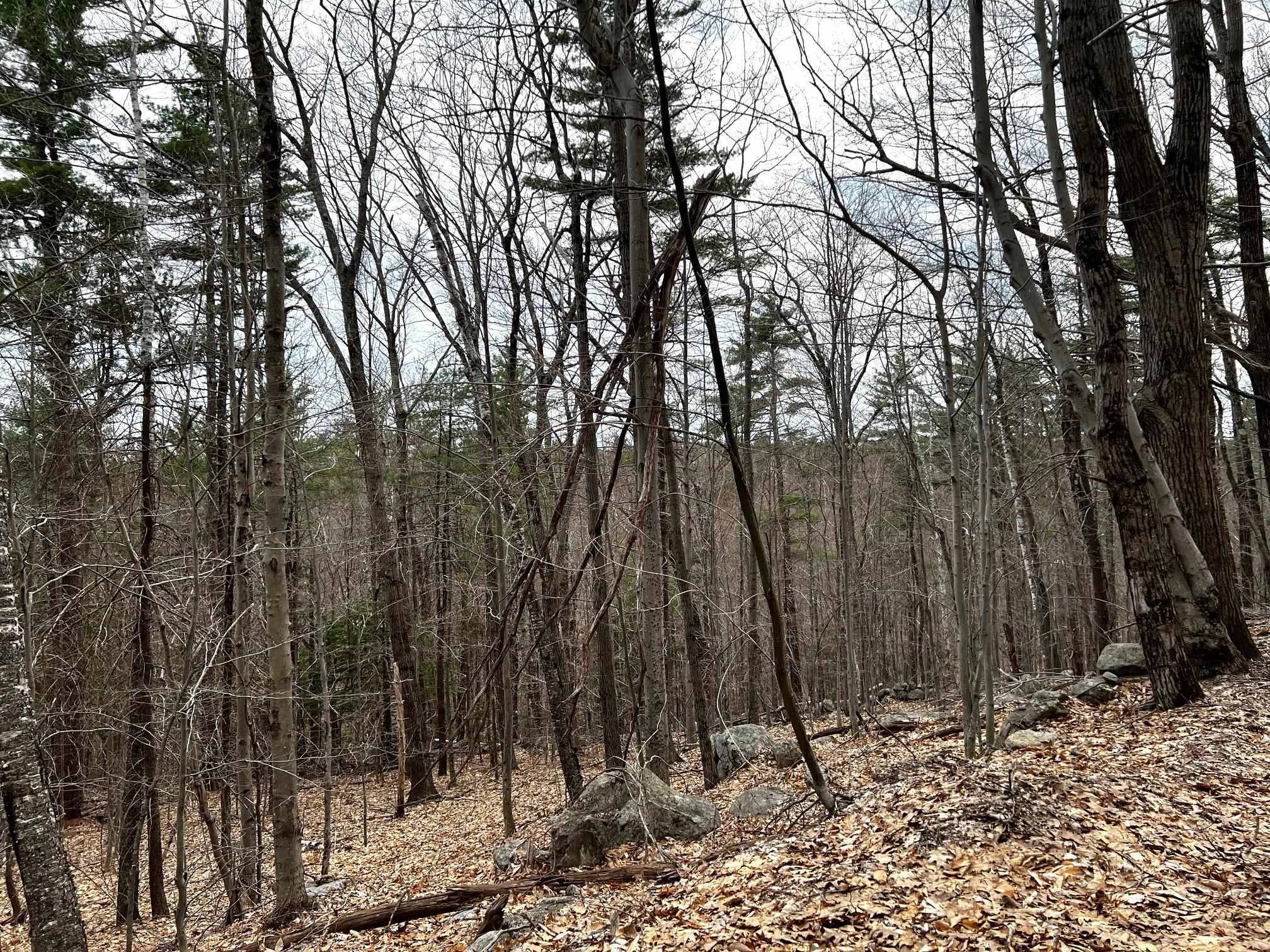 Salisbury, NH 03268,207000001 South Range RD