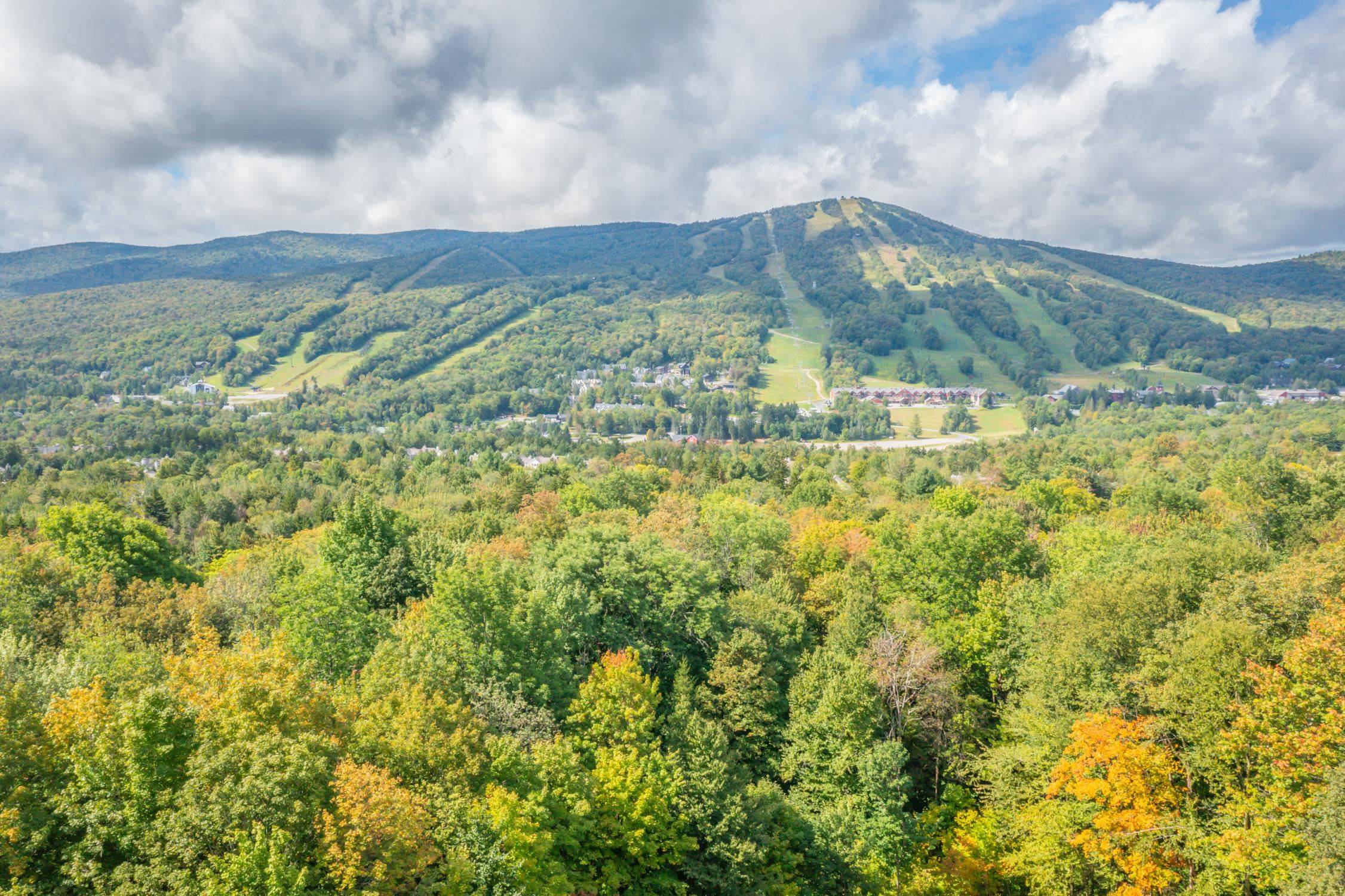 Dover, VT 05356,70 Overlook DR
