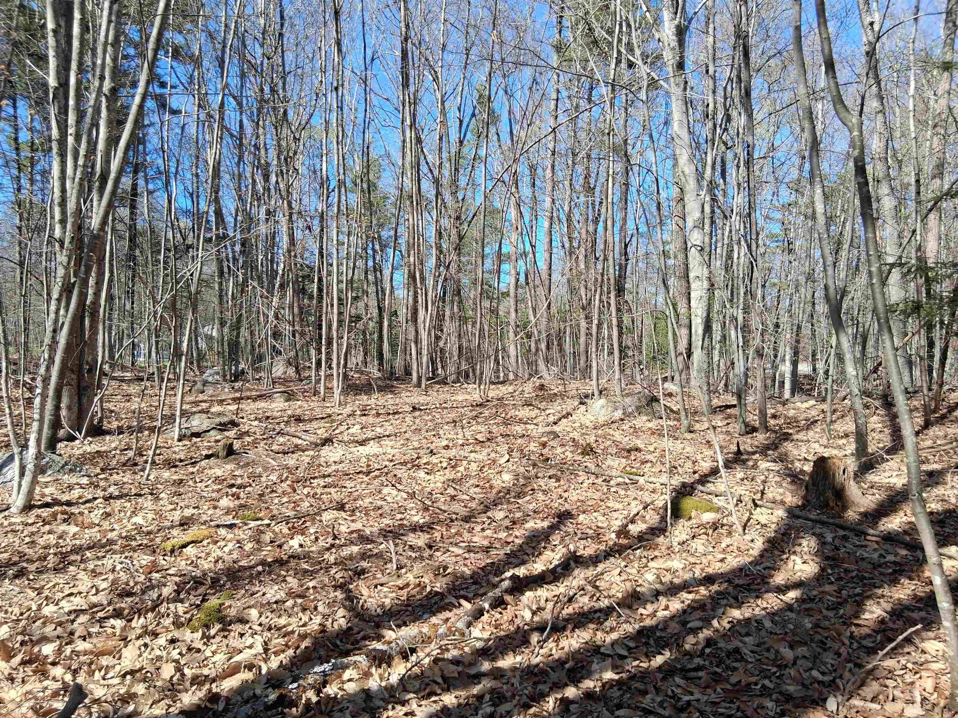 Middleton, NH 03887,Lot 1-17 Silver ST