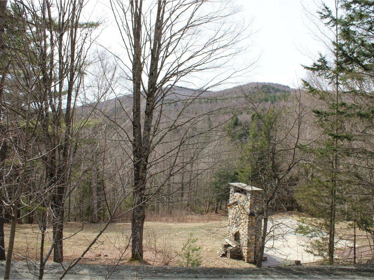 Duxbury, VT 05660,1953 Dowsville RD