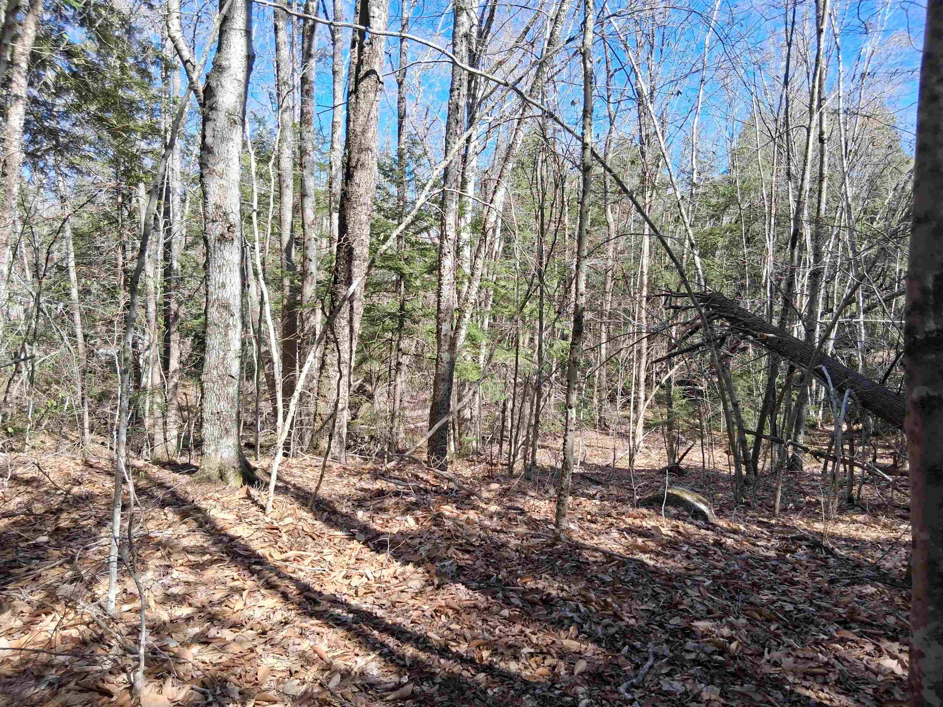 Middleton, NH 03887,Lot 332 Nicola RD