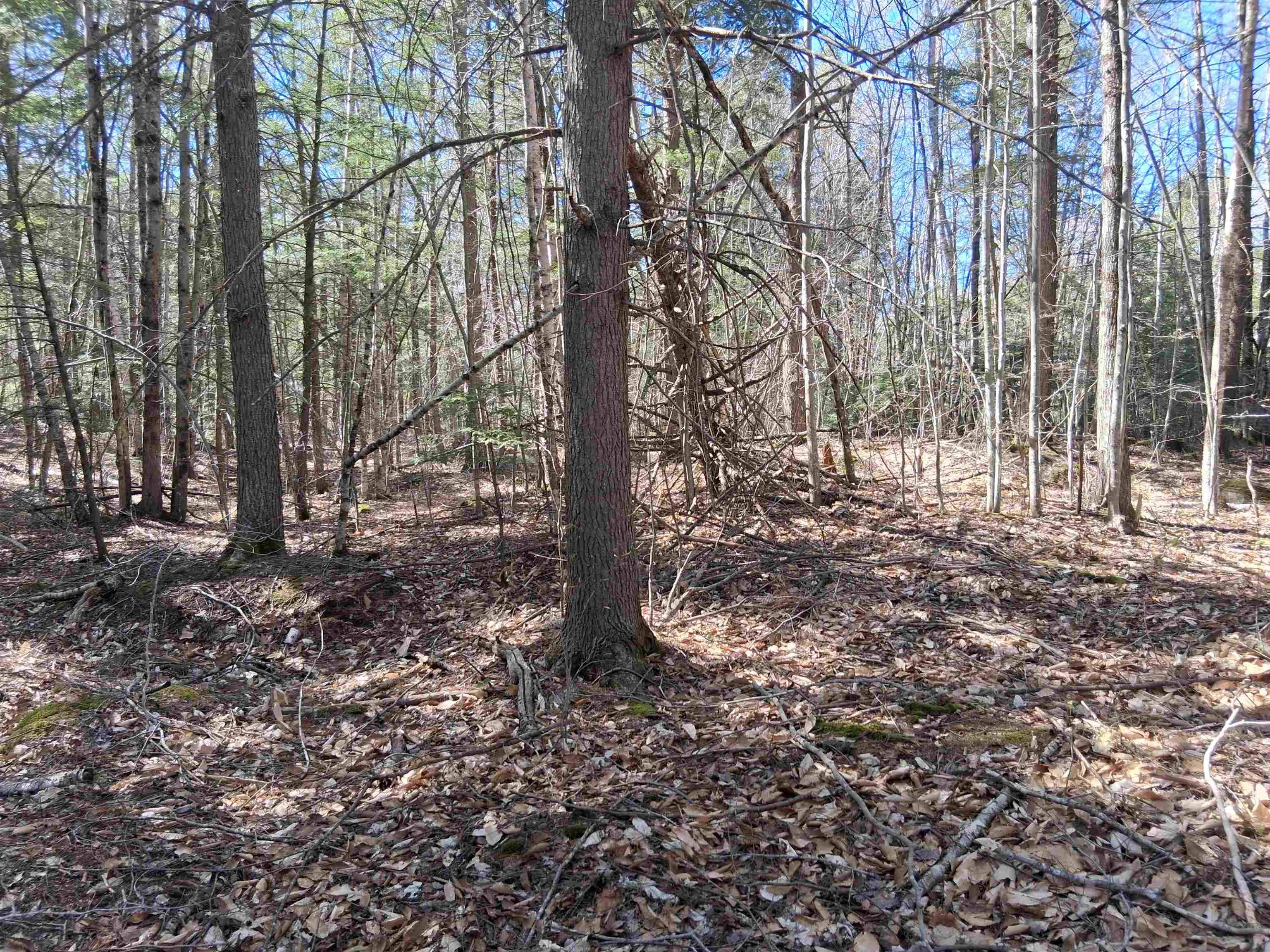 Middleton, NH 03887,Lot 332 Nicola RD