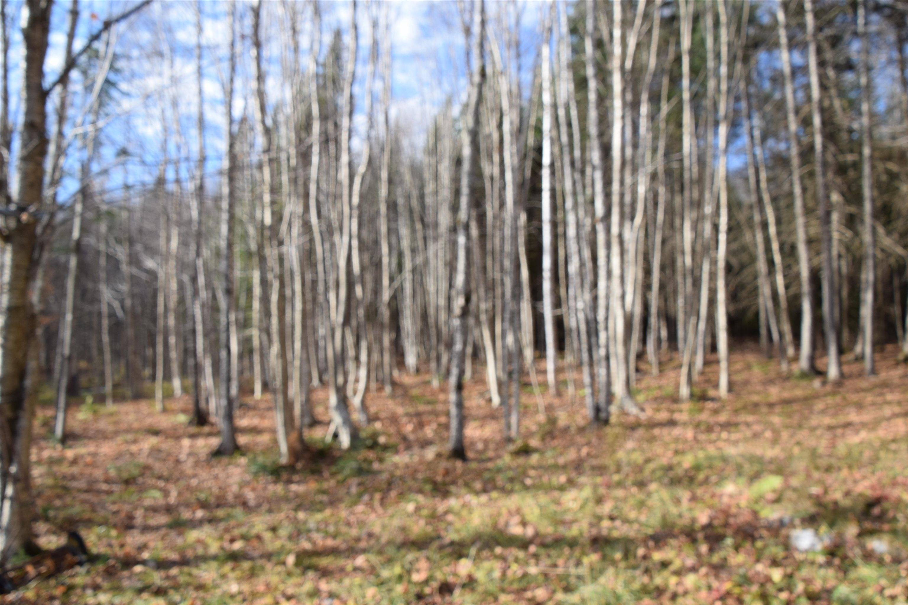 Stewartstown, NH 03576,253 Brook Park RD