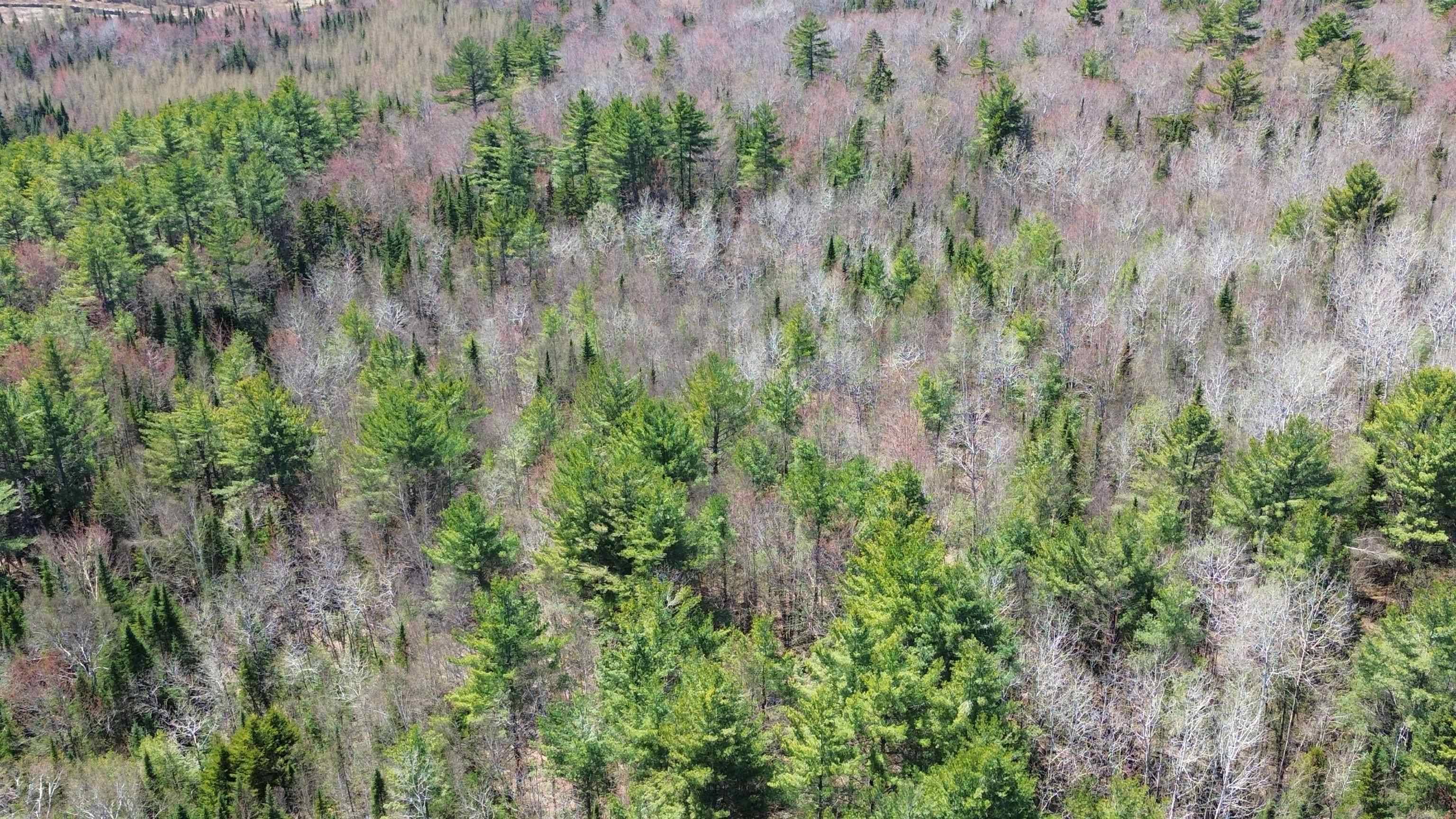 Whitefield, NH 03598,0 Twin Mountain RD