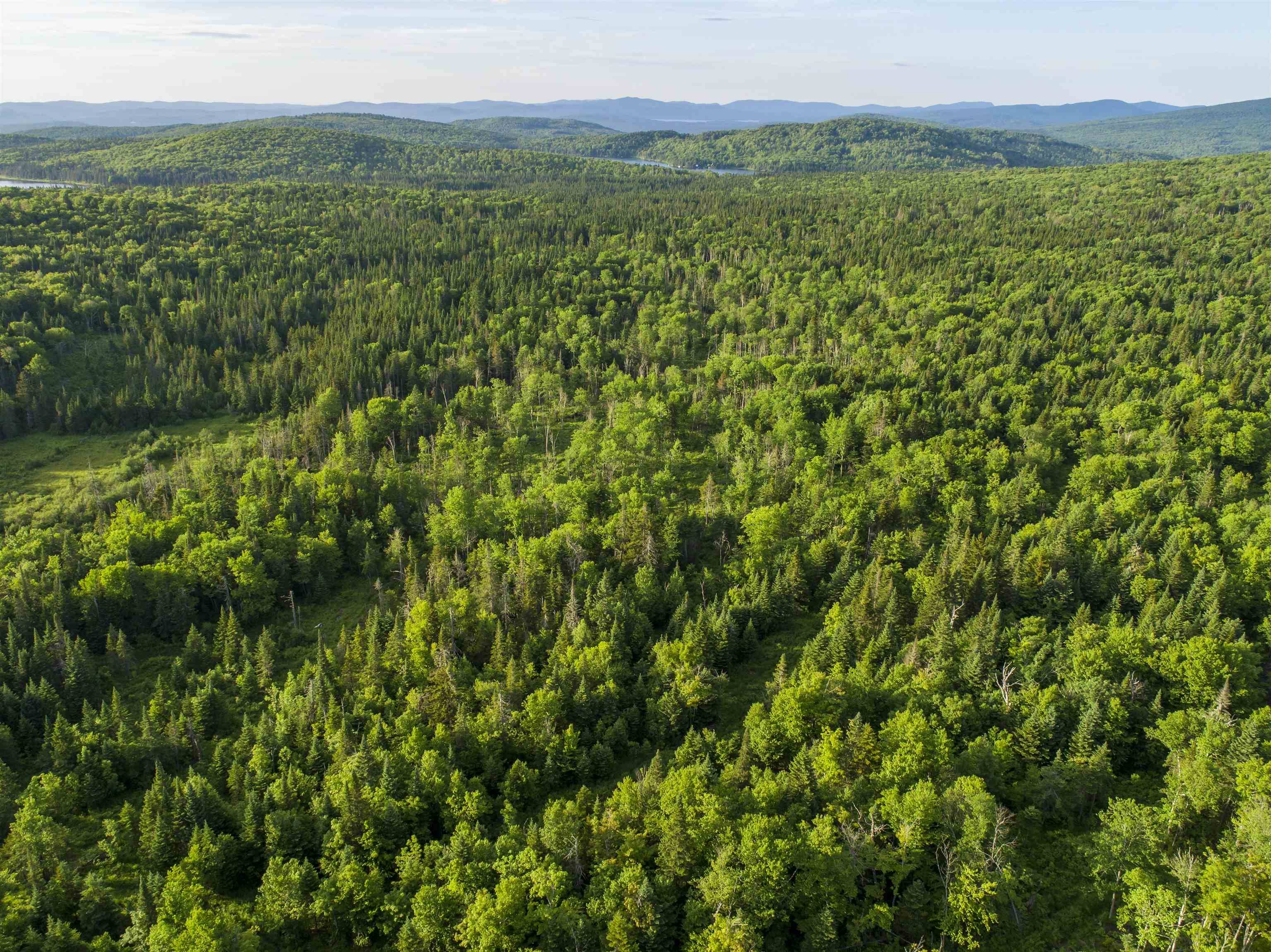 Stewartstown, NH 03576,7 Diamond Pond RD #B
