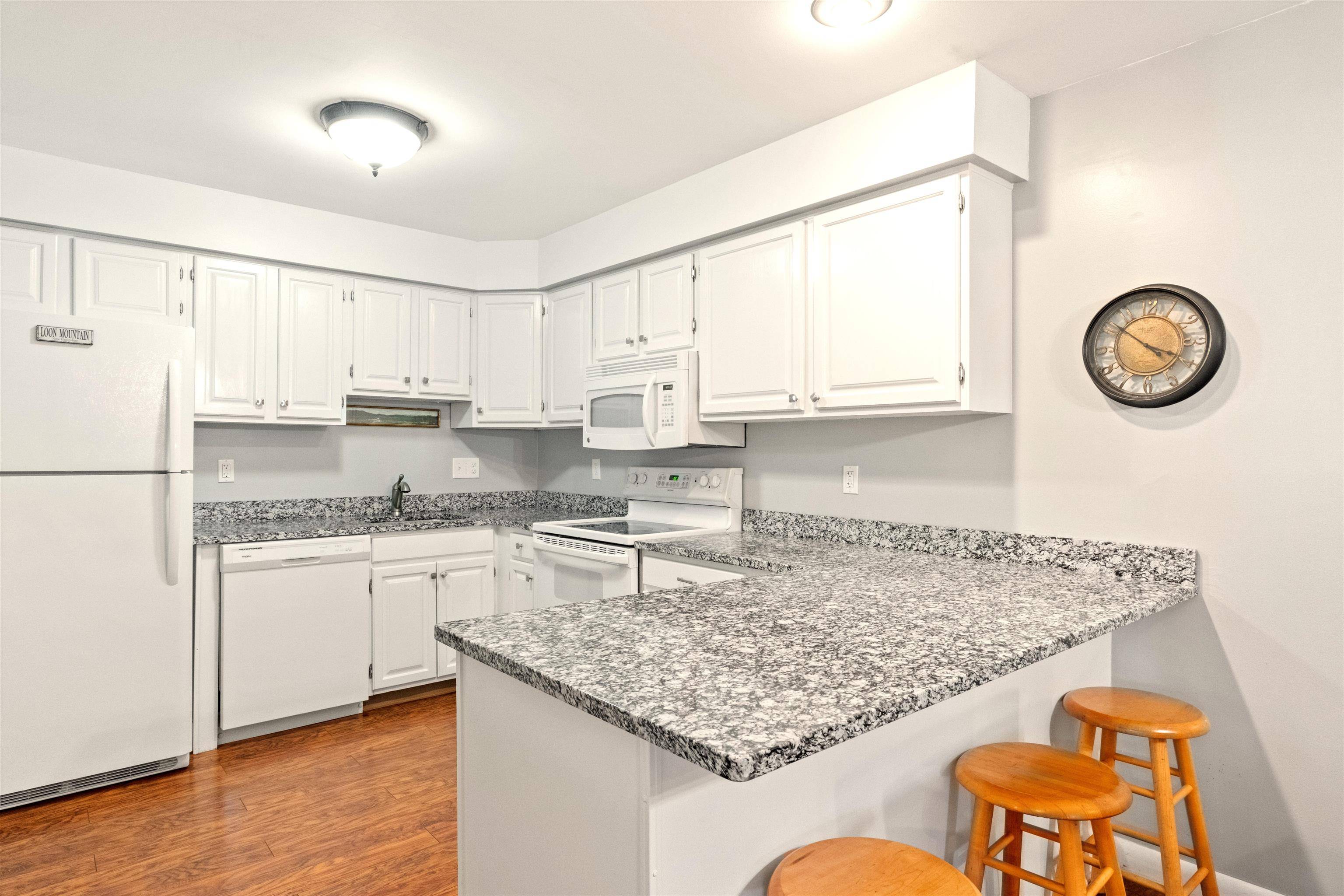 Lincoln, NH 03251,227 Main ST #138