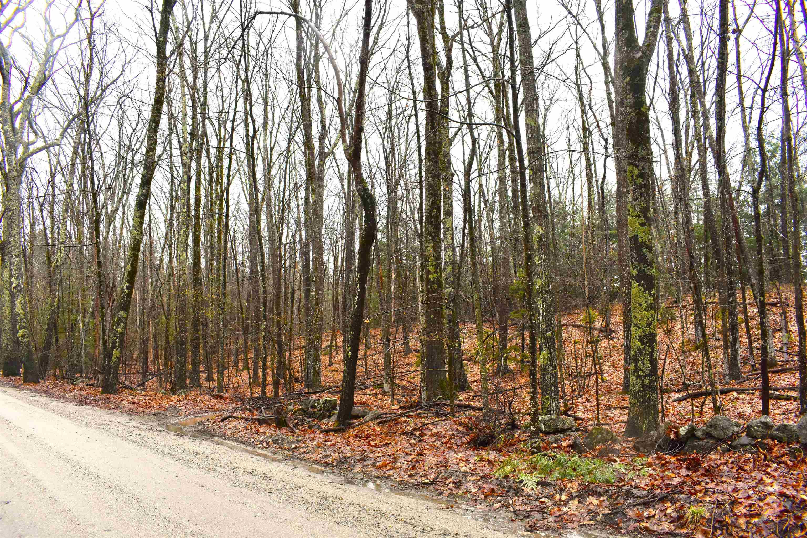Dublin, NH 03444,00 Windmill Hill RD #Map 3 Lot 62B