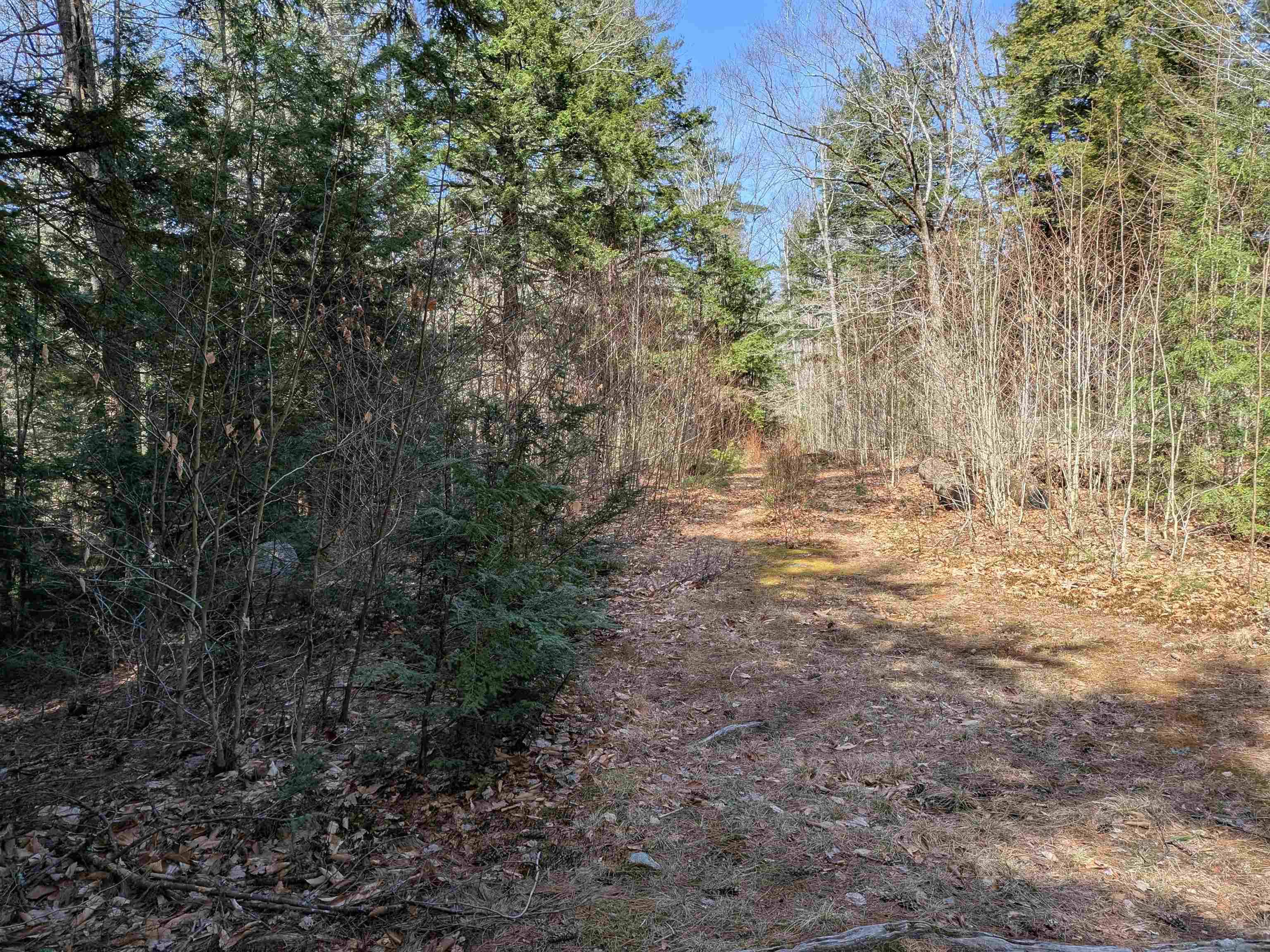Mont Vernon, NH 03057,2-56 Caesars RD