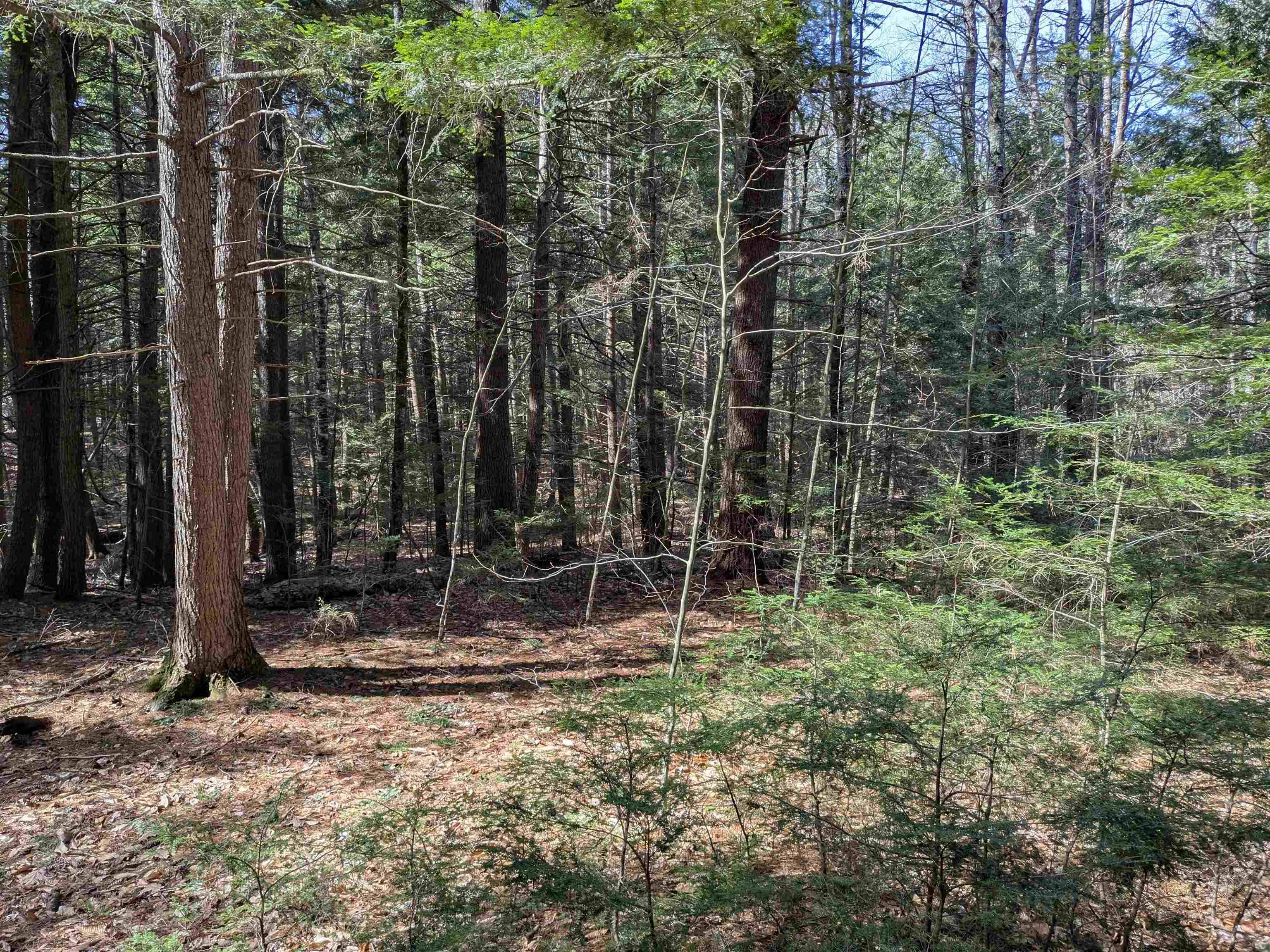 Mont Vernon, NH 03057,2-56 Caesars RD