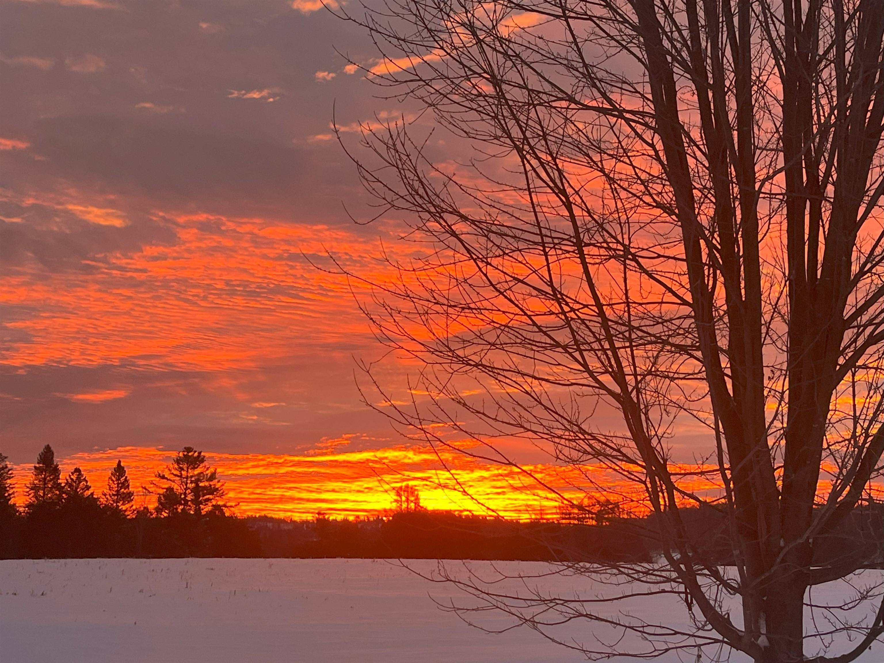 Newbury, VT 05051,1126 Jefferson Hill RD