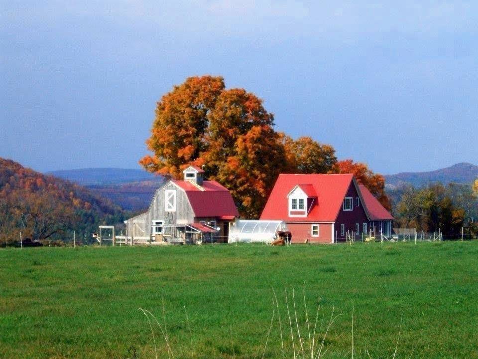 Newbury, VT 05051,1126 Jefferson Hill RD