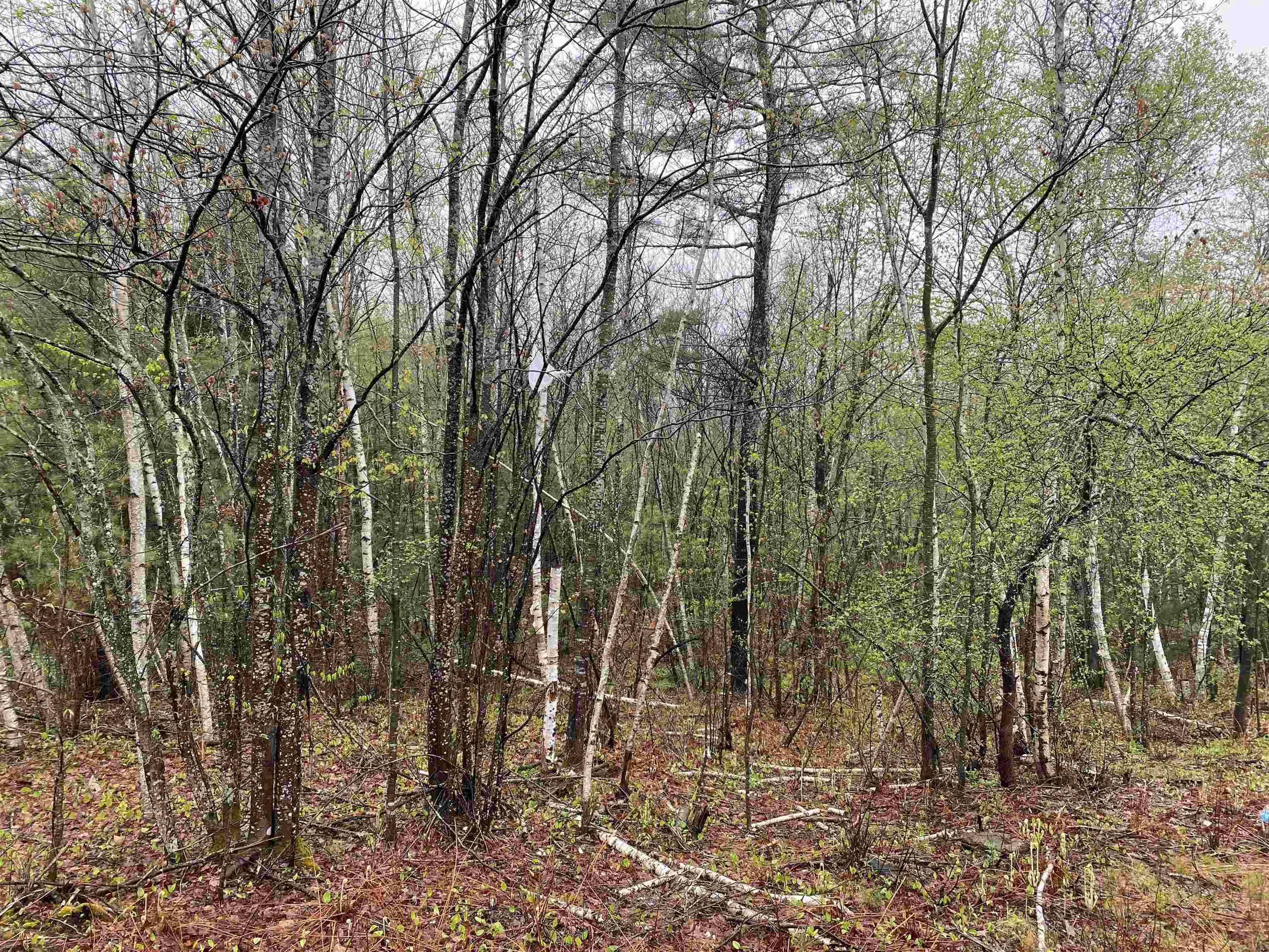 Pittsfield, NH 03263,Catamount RD