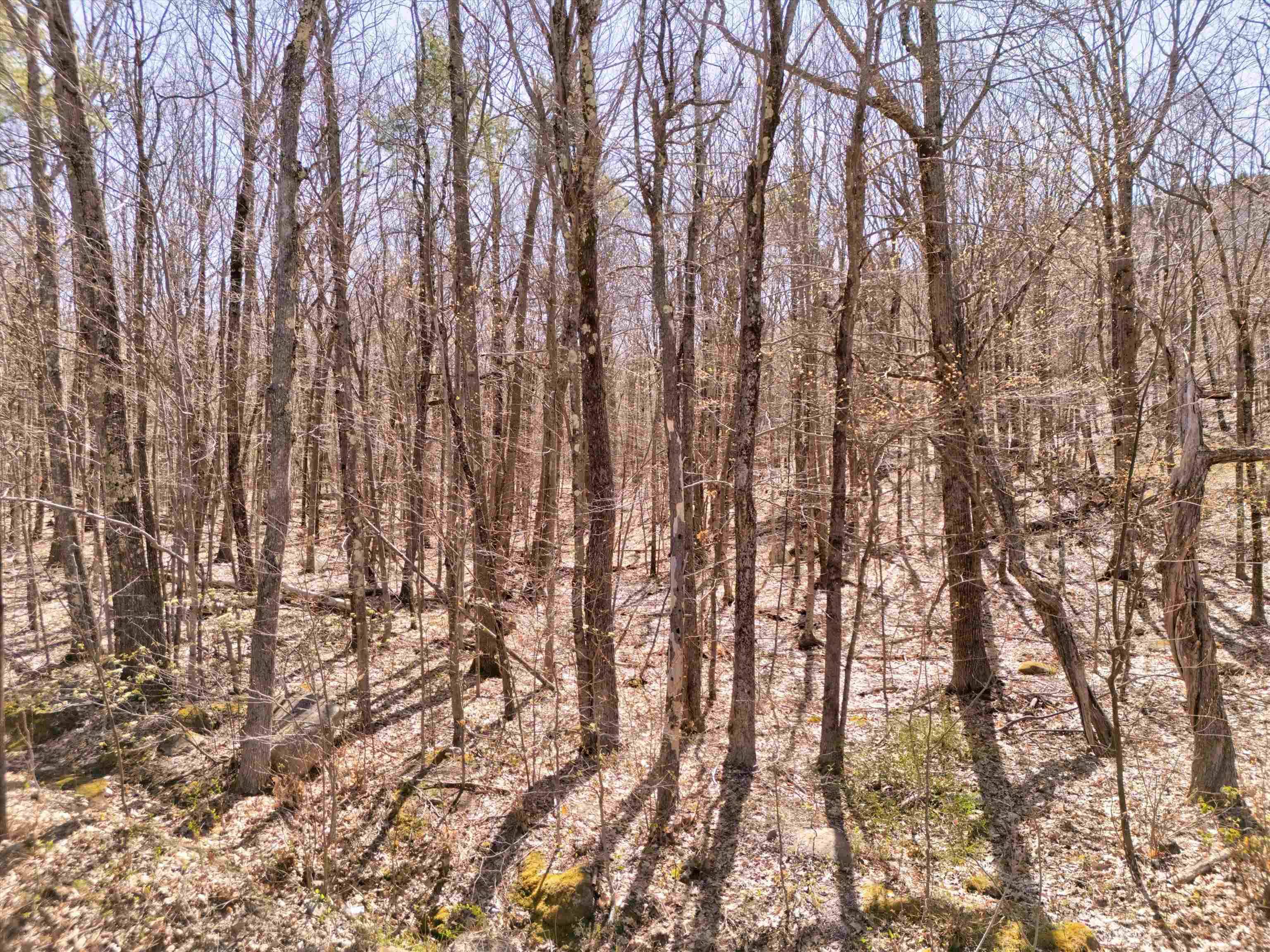 New Durham, NH 03855,0 Mountain DR