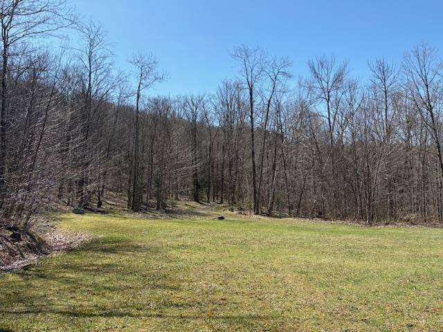 Bridgewater, VT 05034,0 Walker Hill RD