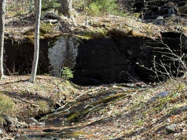 Bridgewater, VT 05034,0 Walker Hill RD