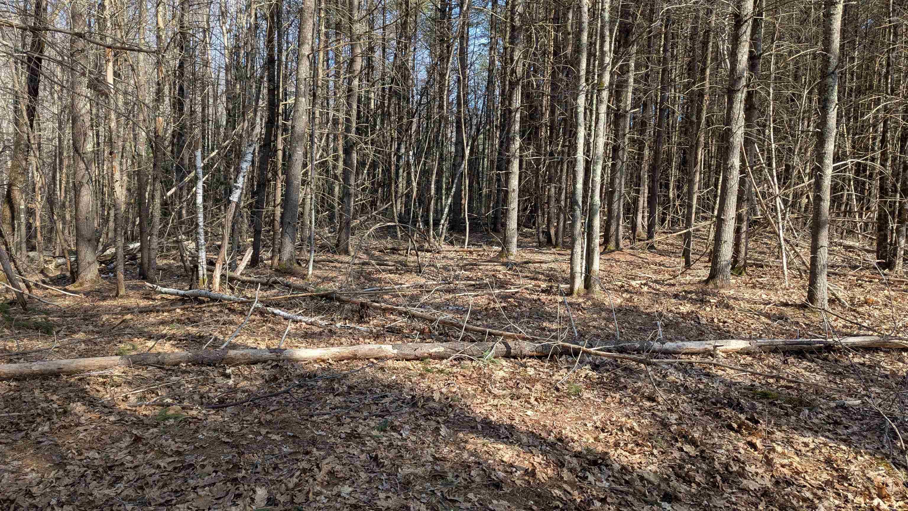 M 3 - L 15-1&2 Prospect Mountain RD Alton, NH 03809