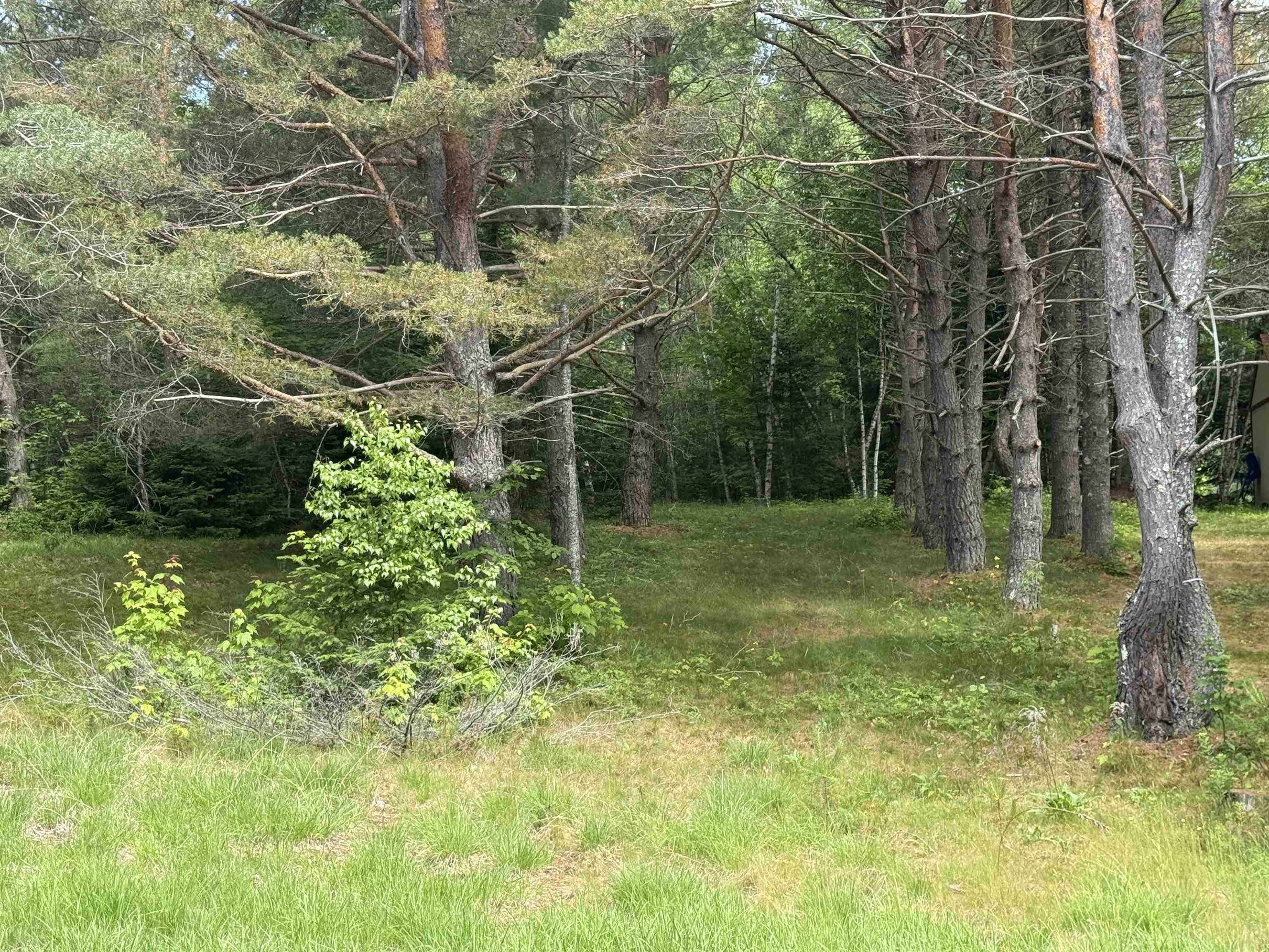 Carroll, NH 03595,0 Twin View DR