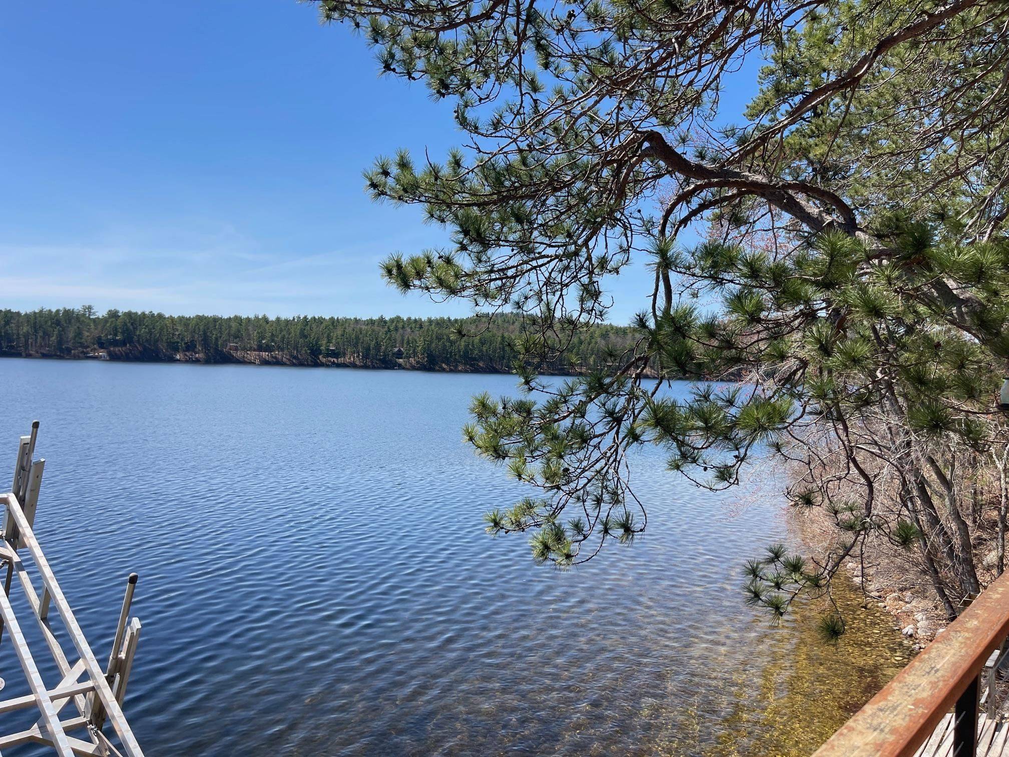 Madison, NH 03875,229 Charlotte Point RD