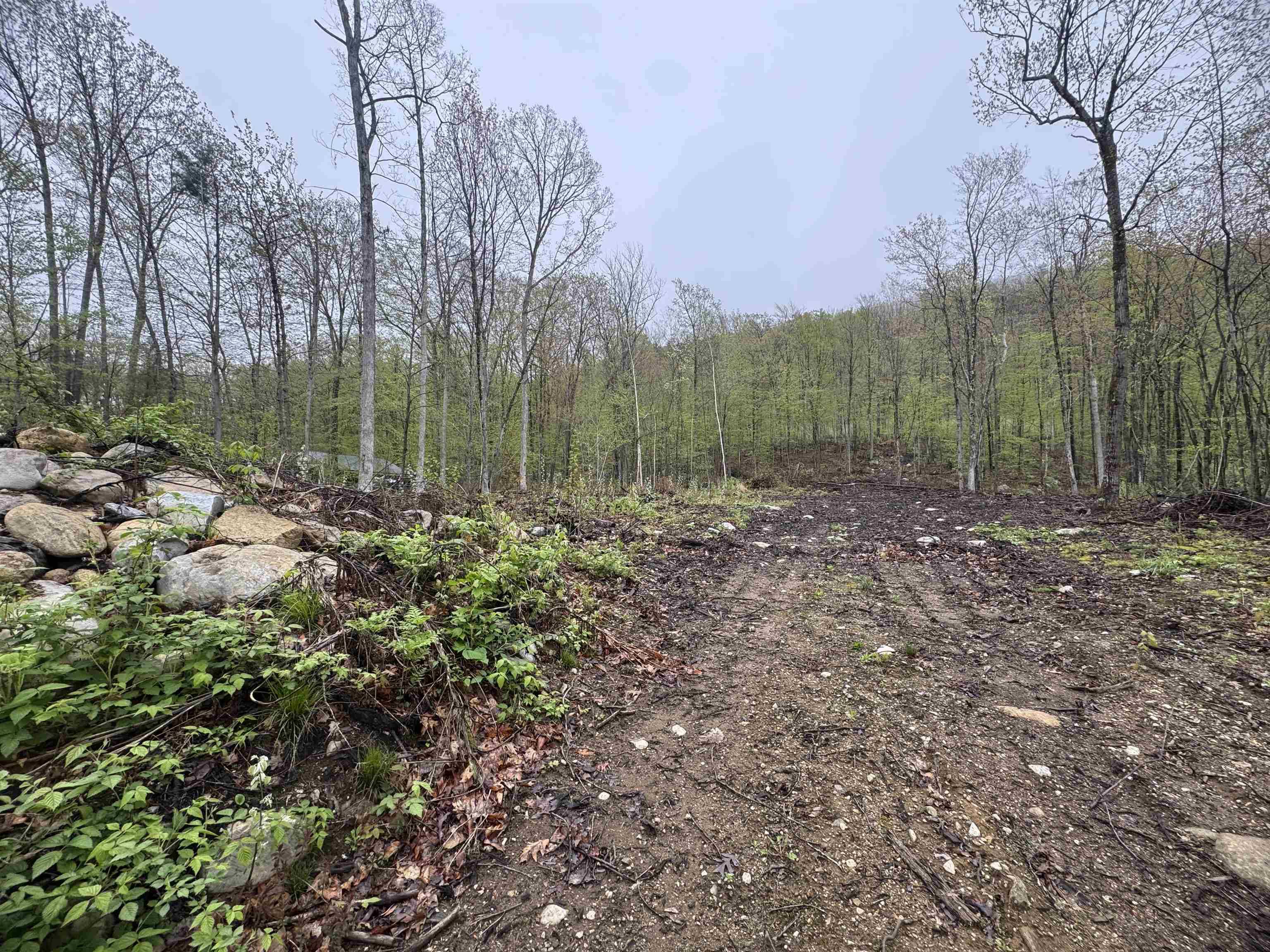 Salisbury, VT 05769,0 Upper Plains RD