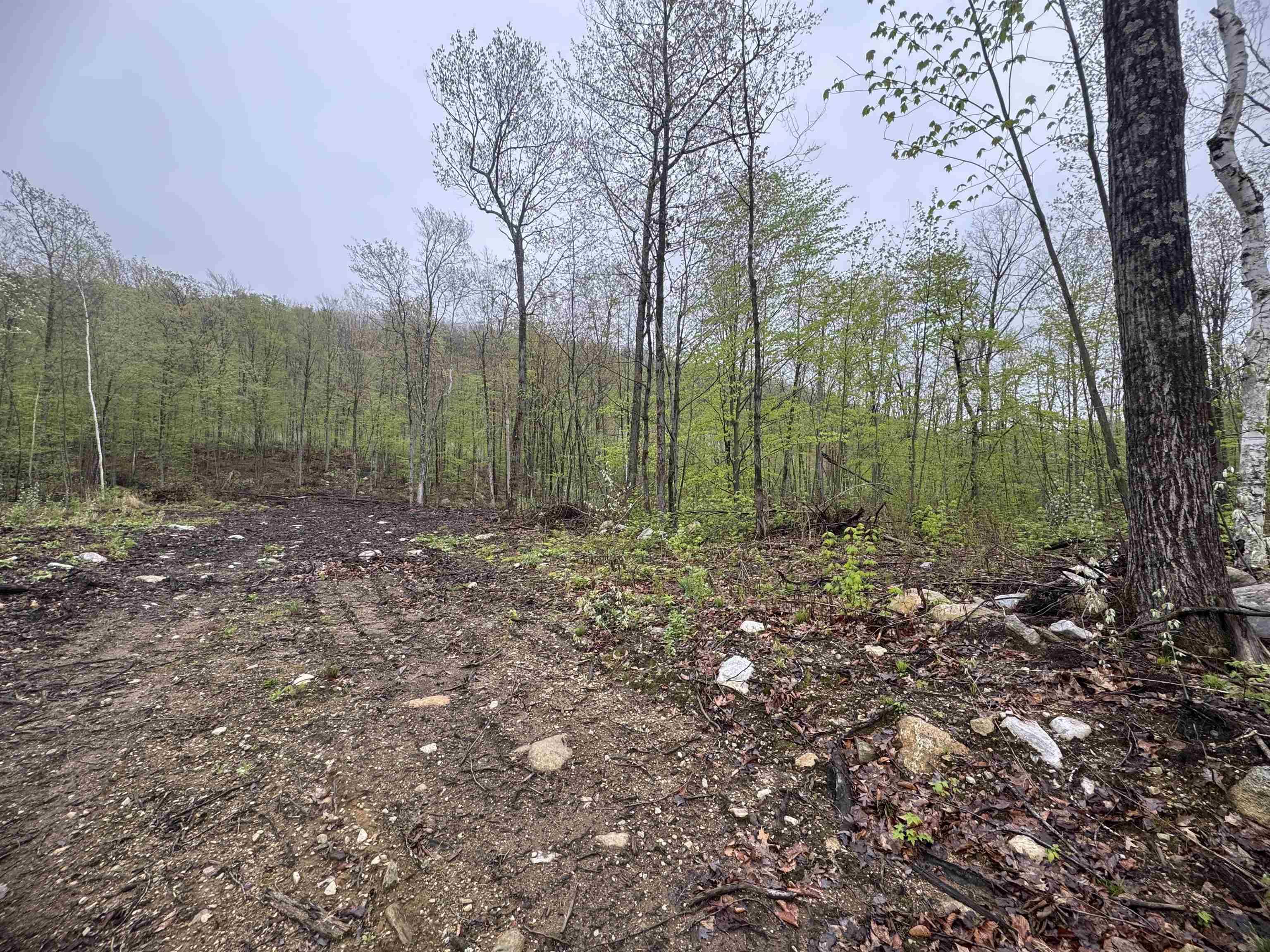 Salisbury, VT 05769,0 Upper Plains RD