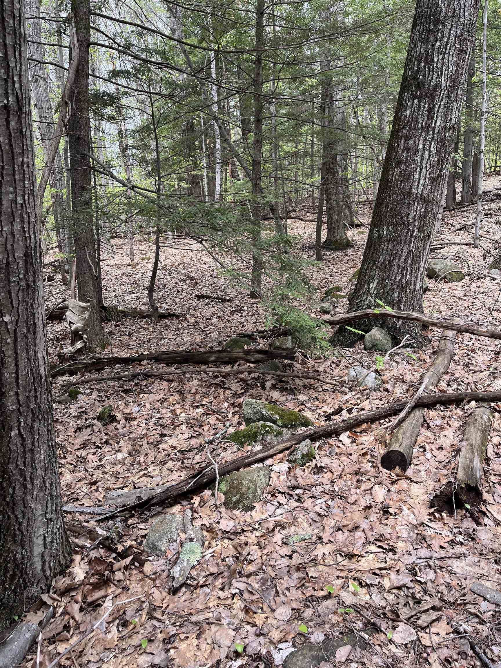 Alexandria, NH 03222,Lot 81 Plumer Hill RD