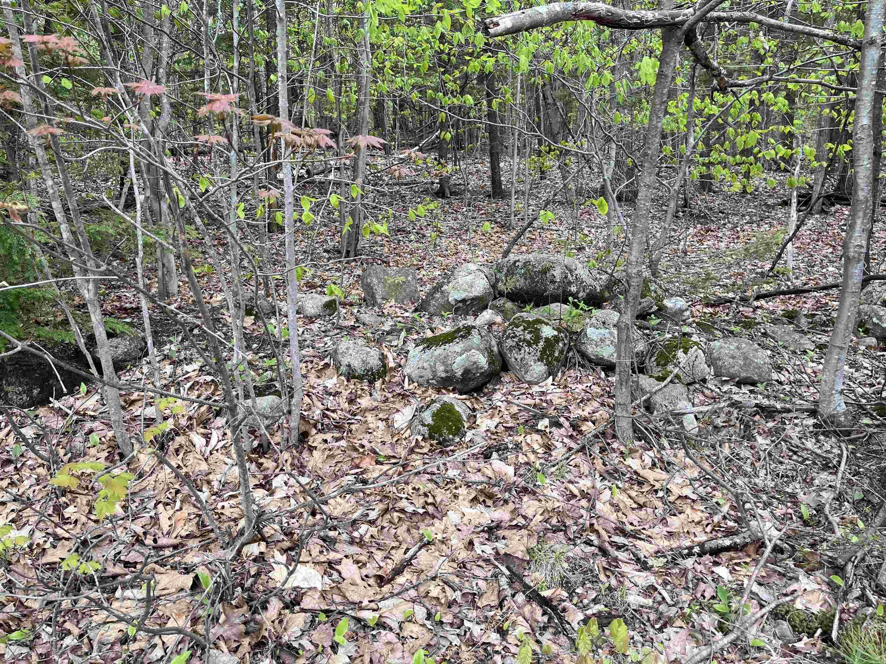 Alexandria, NH 03222,Lot 81 Plumer Hill RD