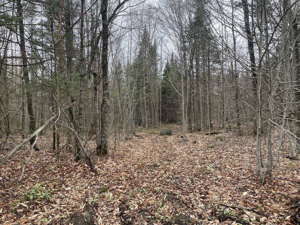 Woodbury, VT 05681,2319 East Hill RD
