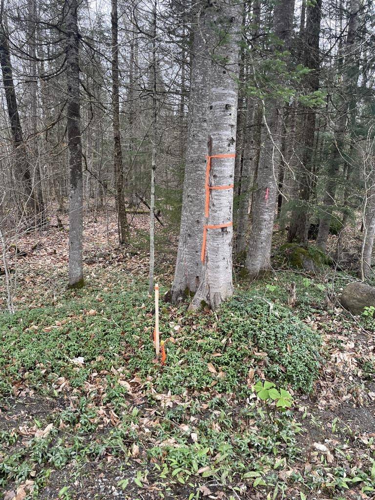Woodbury, VT 05681,2319 East Hill RD