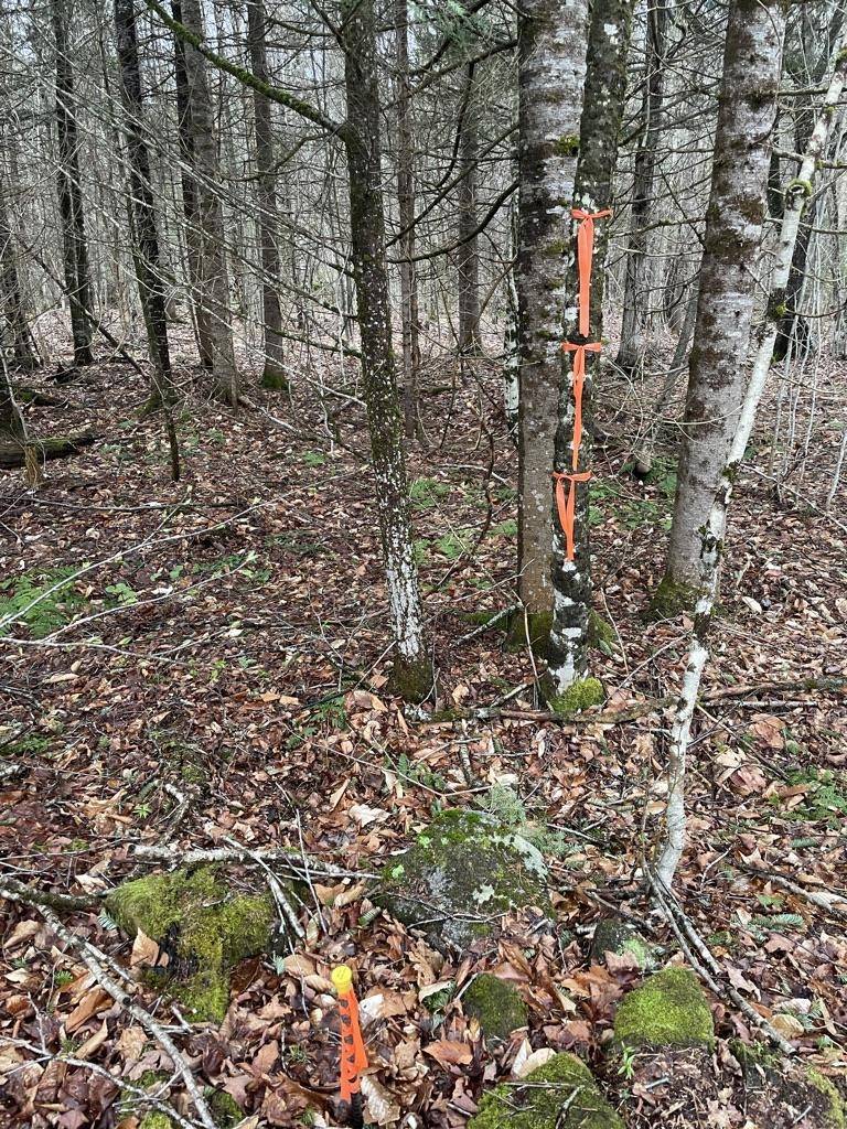2319 East Hill RD Woodbury, VT 05681