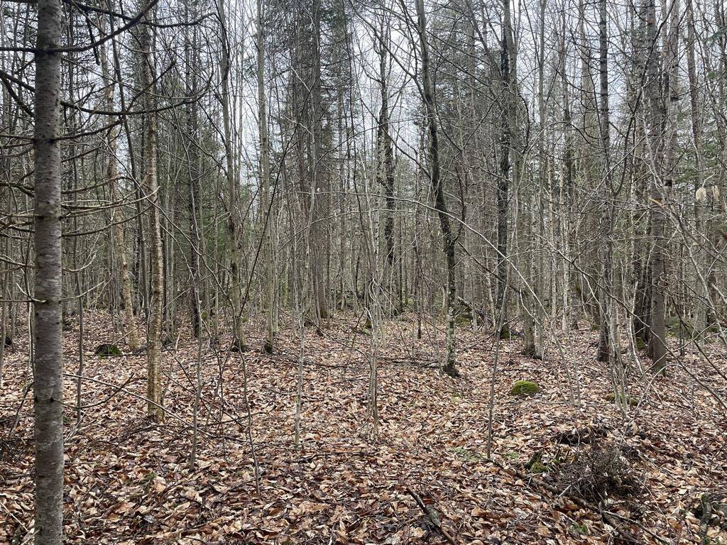 2319 East Hill RD Woodbury, VT 05681