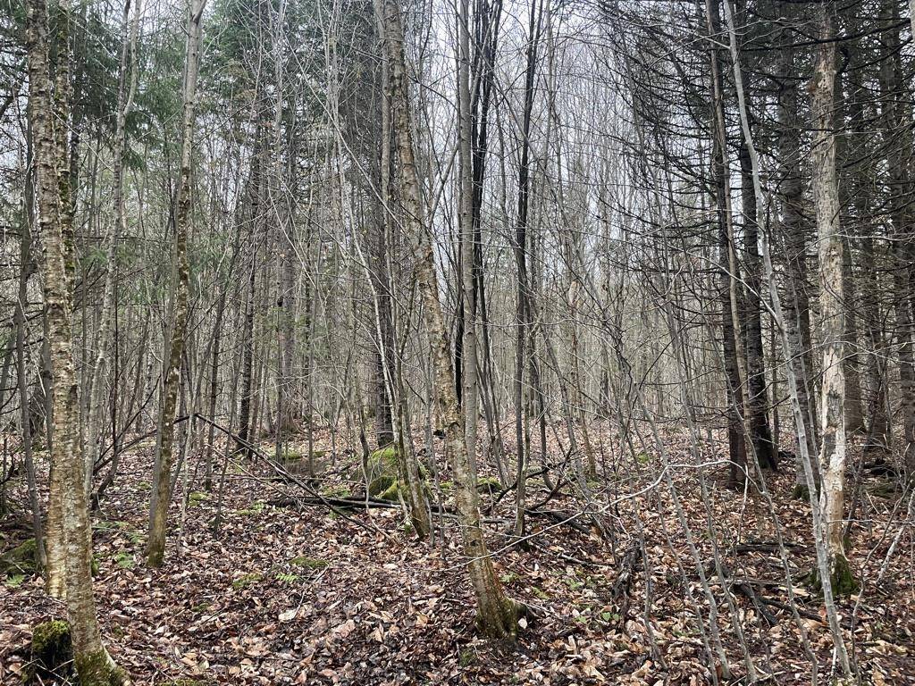 2319 East Hill RD Woodbury, VT 05681
